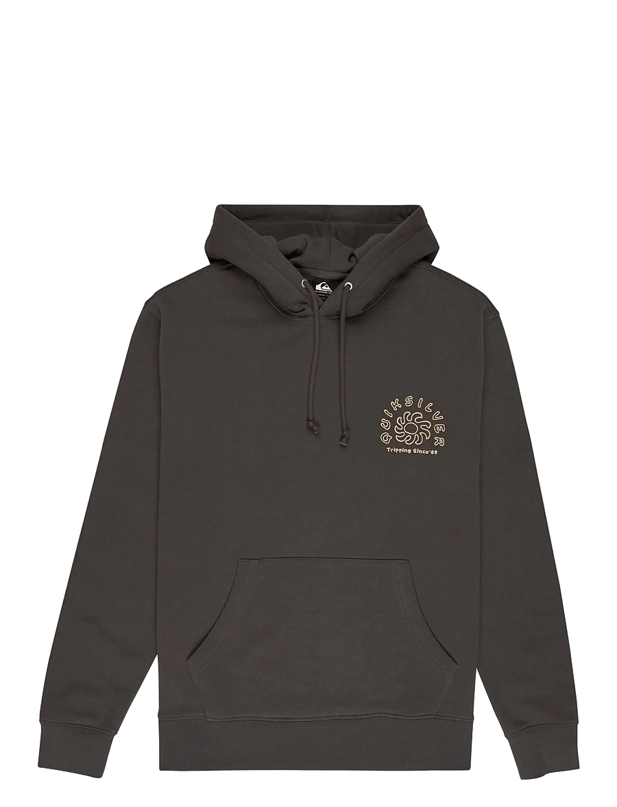 Quiksilver - SALT WATER GRAPHIC HOODIE - overdele - iron gate - 1