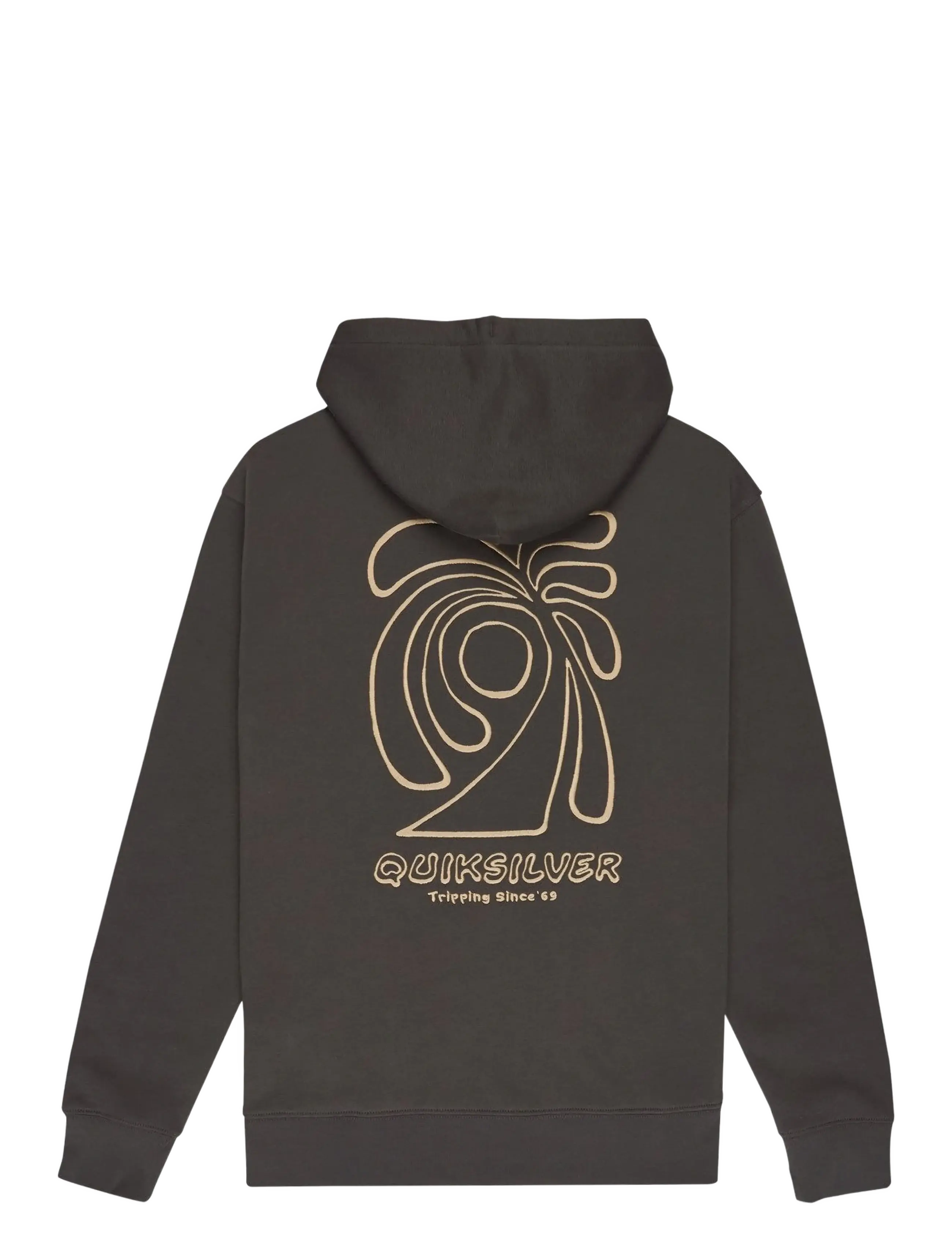 Quiksilver - SALT WATER GRAPHIC HOODIE - pulls a capuche - iron gate - 2