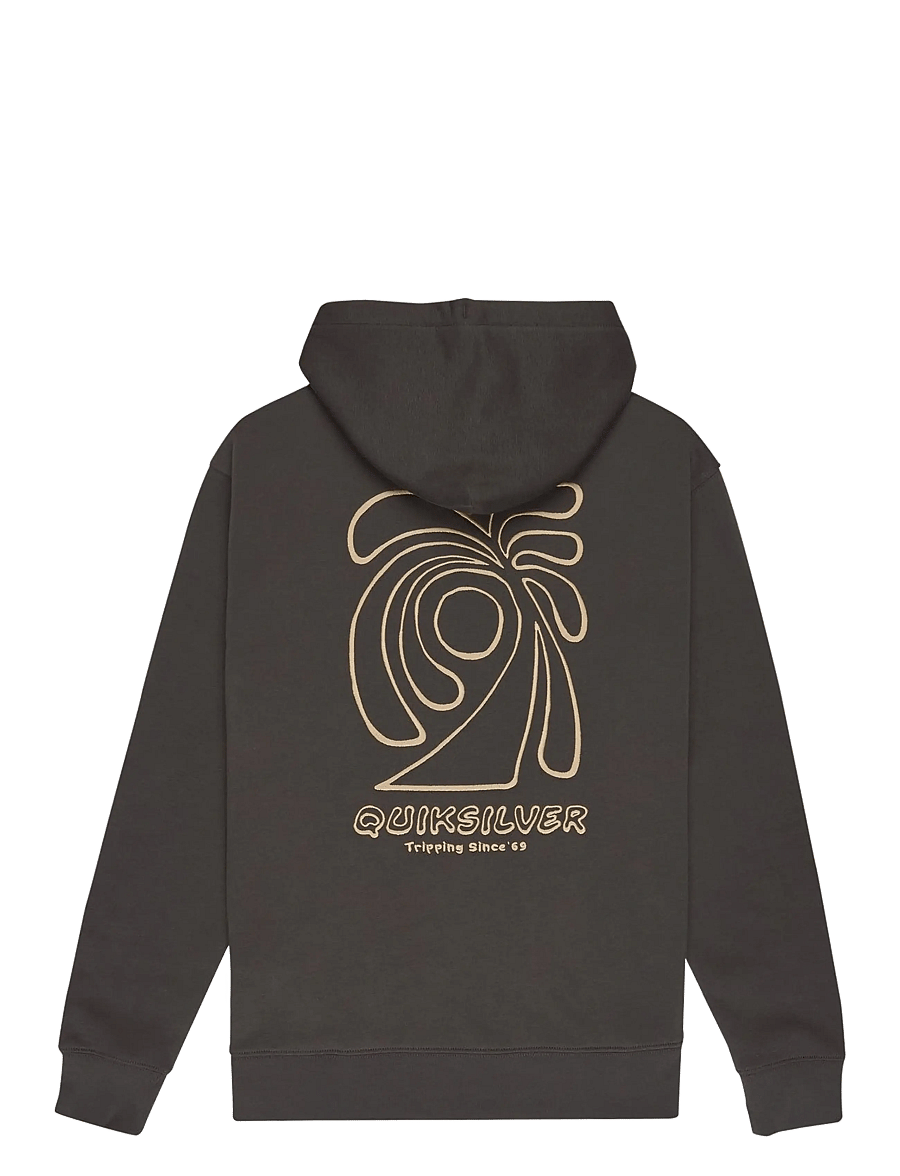 Quiksilver - SALT WATER GRAPHIC HOODIE - overdele - iron gate - 2