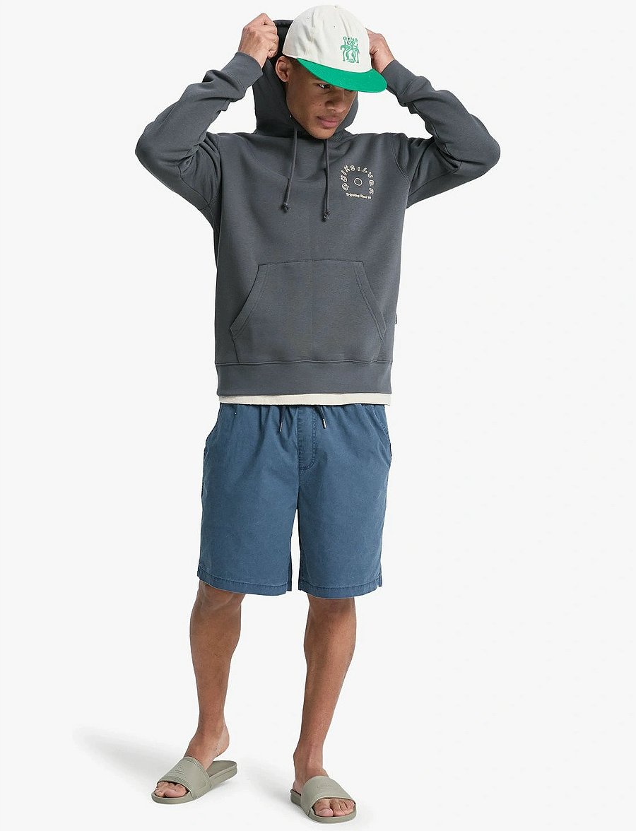Quiksilver - SALT WATER GRAPHIC HOODIE - overdele - iron gate - 4