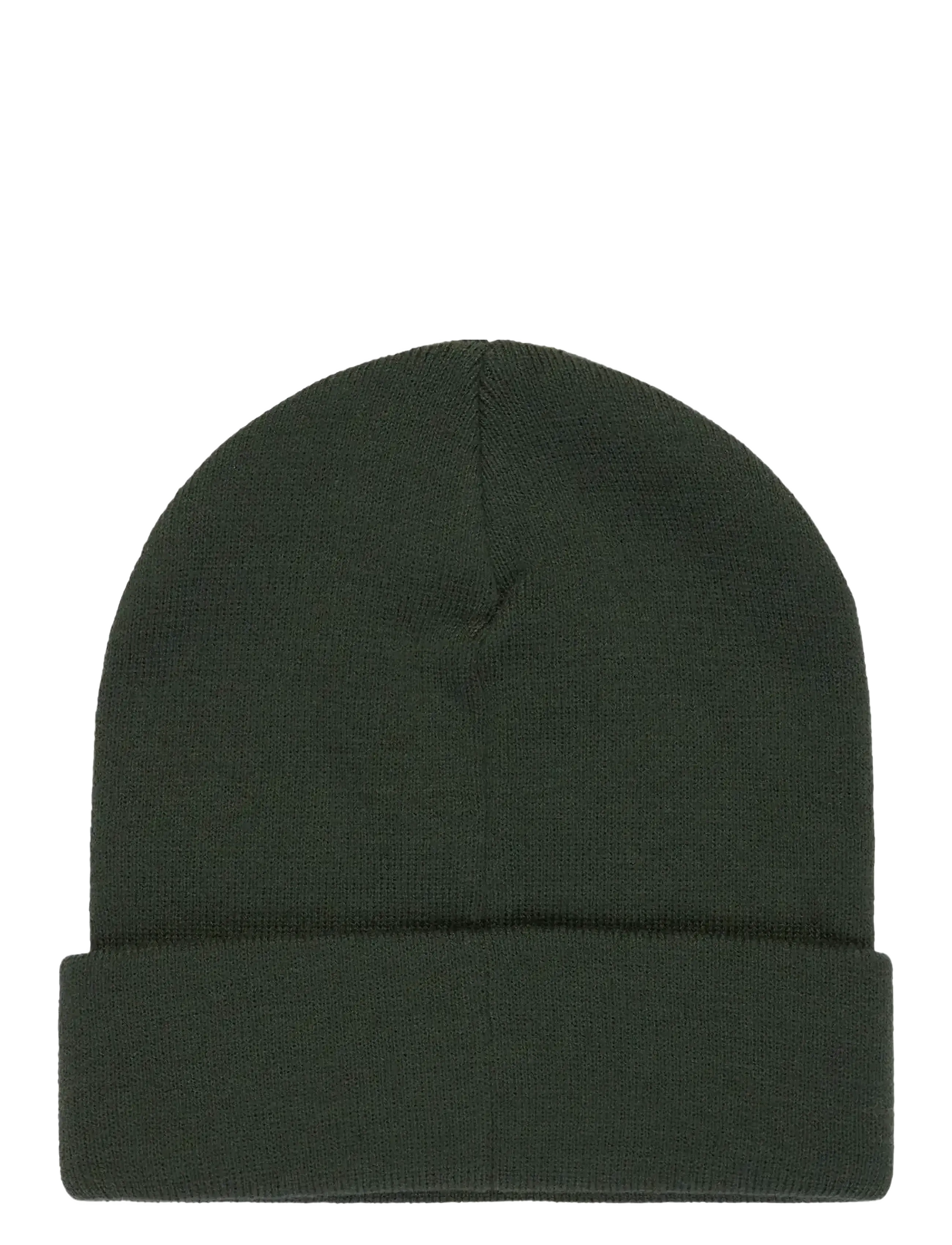 Quiksilver - BRIGADE BEANIE - mützen - trekking green - 1