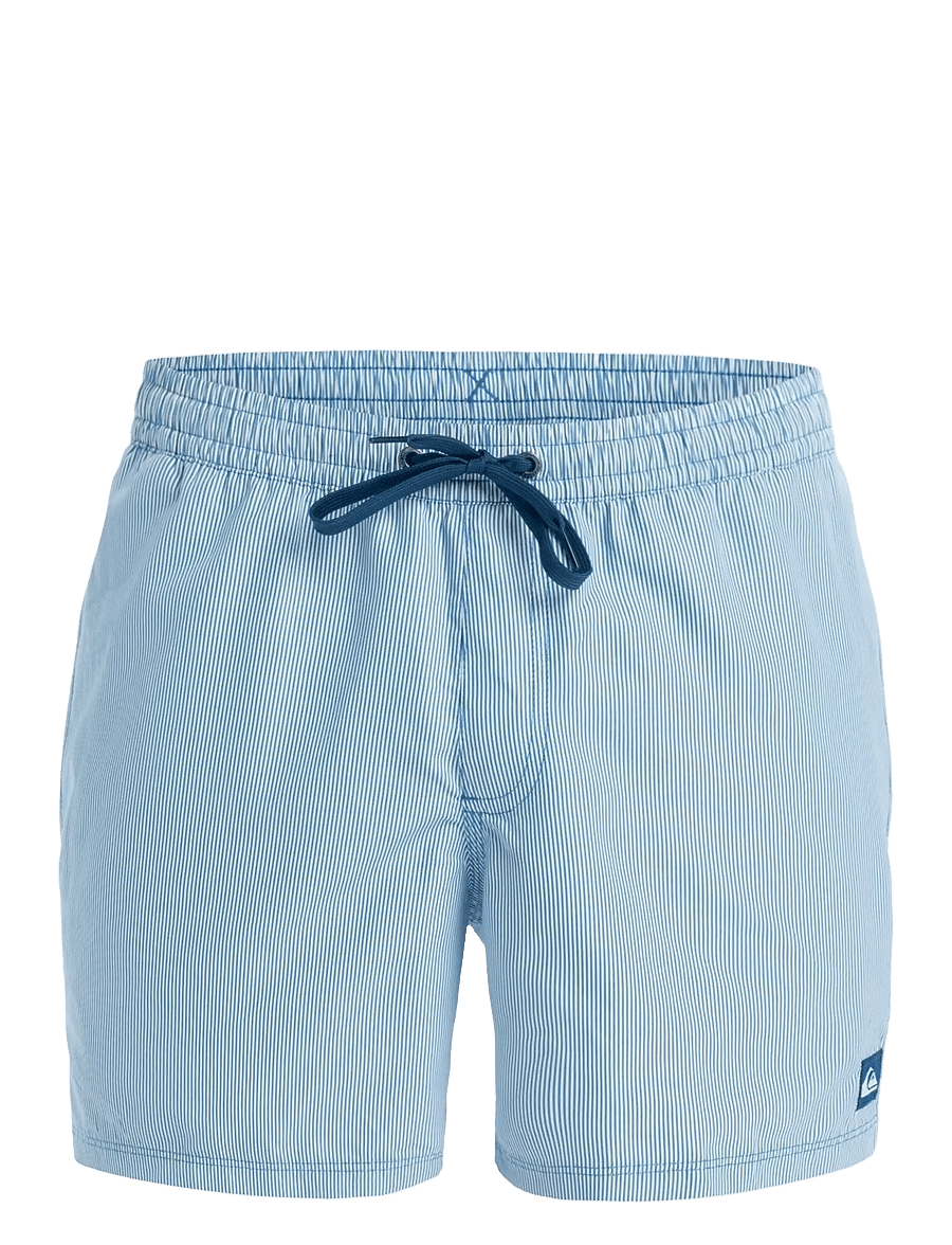 Quiksilver - EVERYDAY DELUXE VOLLEY 15 - badehosen - nebulas blue - 1