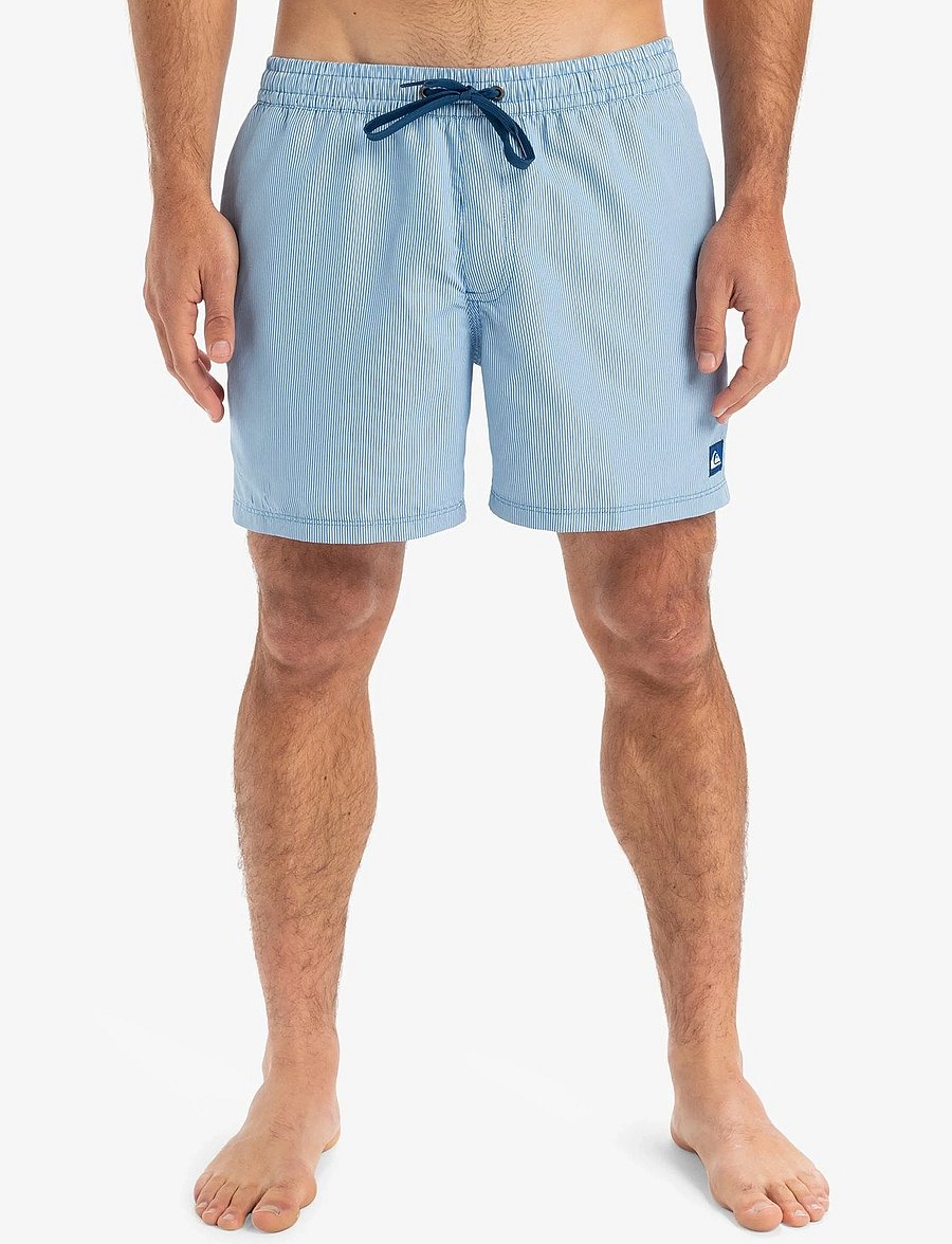 Quiksilver - EVERYDAY DELUXE VOLLEY 15 - badehosen - nebulas blue - 0