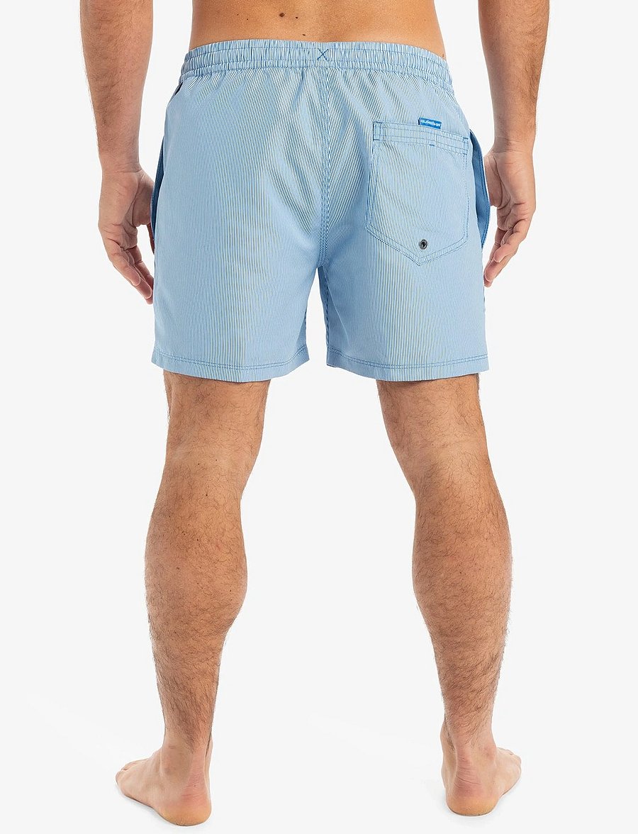 Quiksilver - EVERYDAY DELUXE VOLLEY 15 - badehosen - nebulas blue - 2