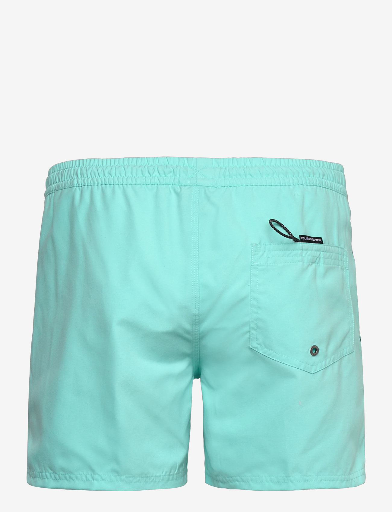 Quiksilver - EVERYDAY VOLLEY 15 - laveste priser - aqua sky - 1