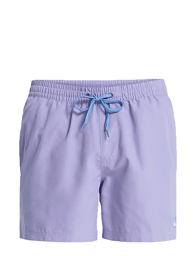 Quiksilver EVERYDAY VOLLEY 15 - Kläder - DAYBREAK / purple
