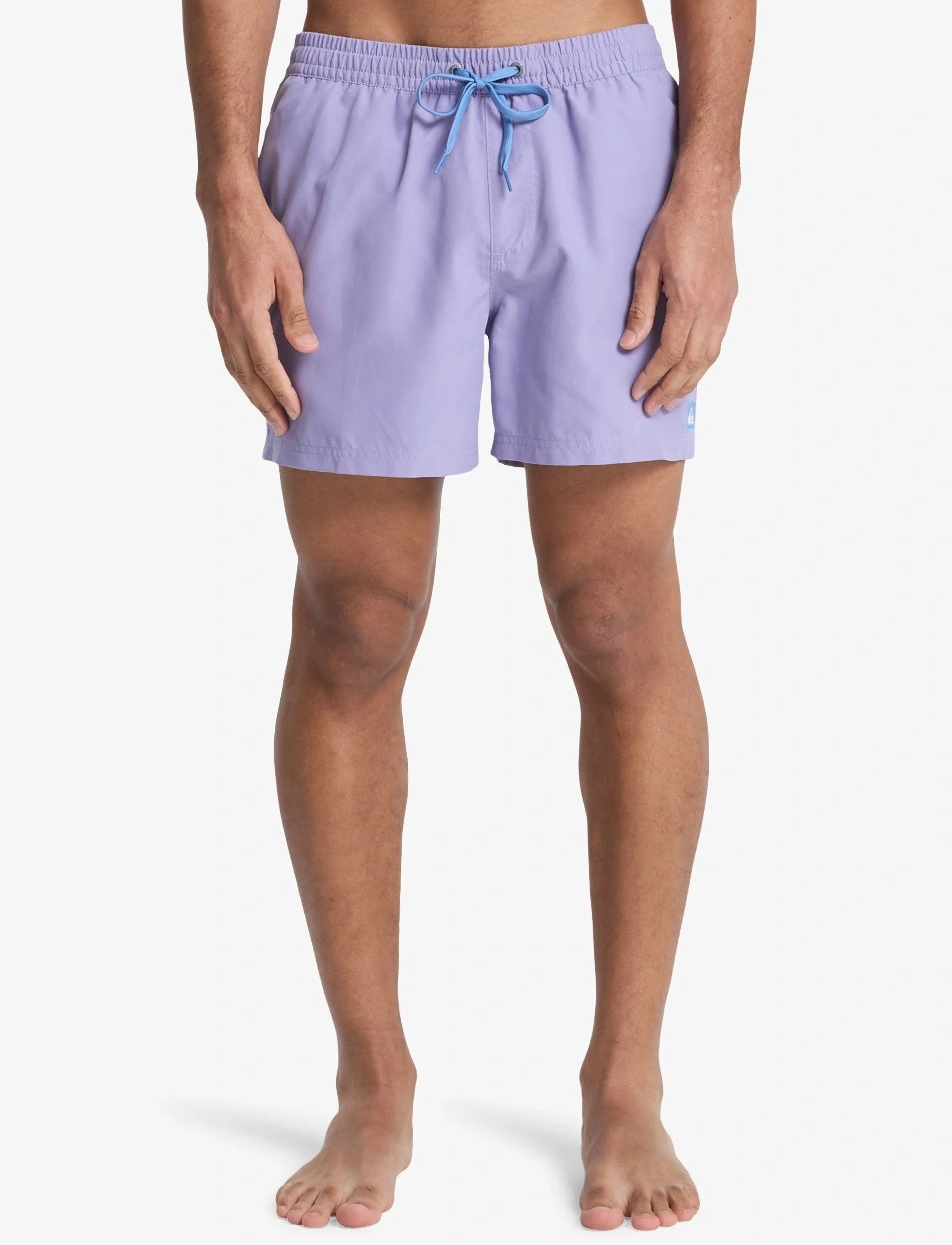 Quiksilver Everyday Volley 15, Mænd, Volley Badeshorts, Lila, Str: S