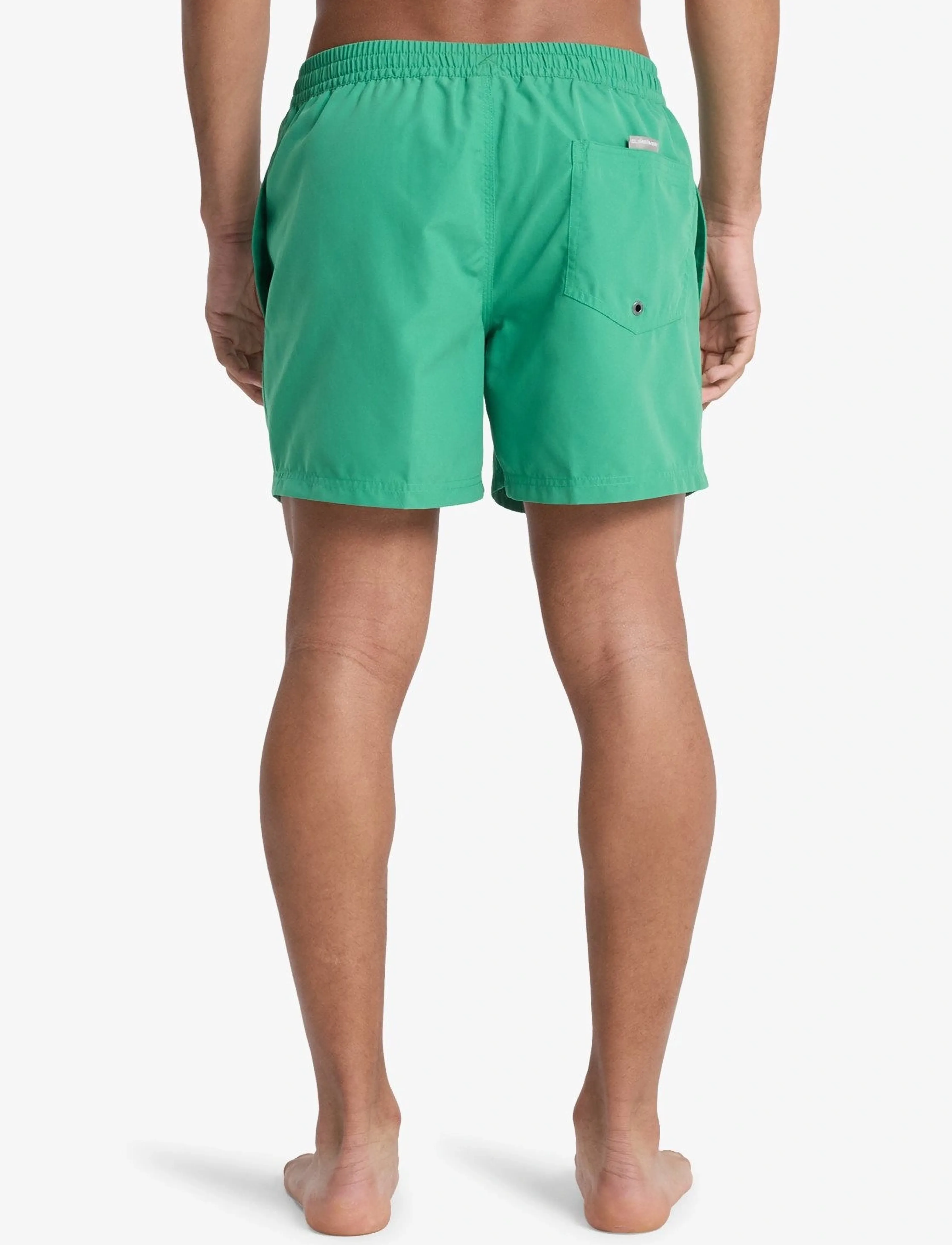 Quiksilver - EVERYDAY VOLLEY 15 - lühikesed ujumispüksid - leprechaun - 2