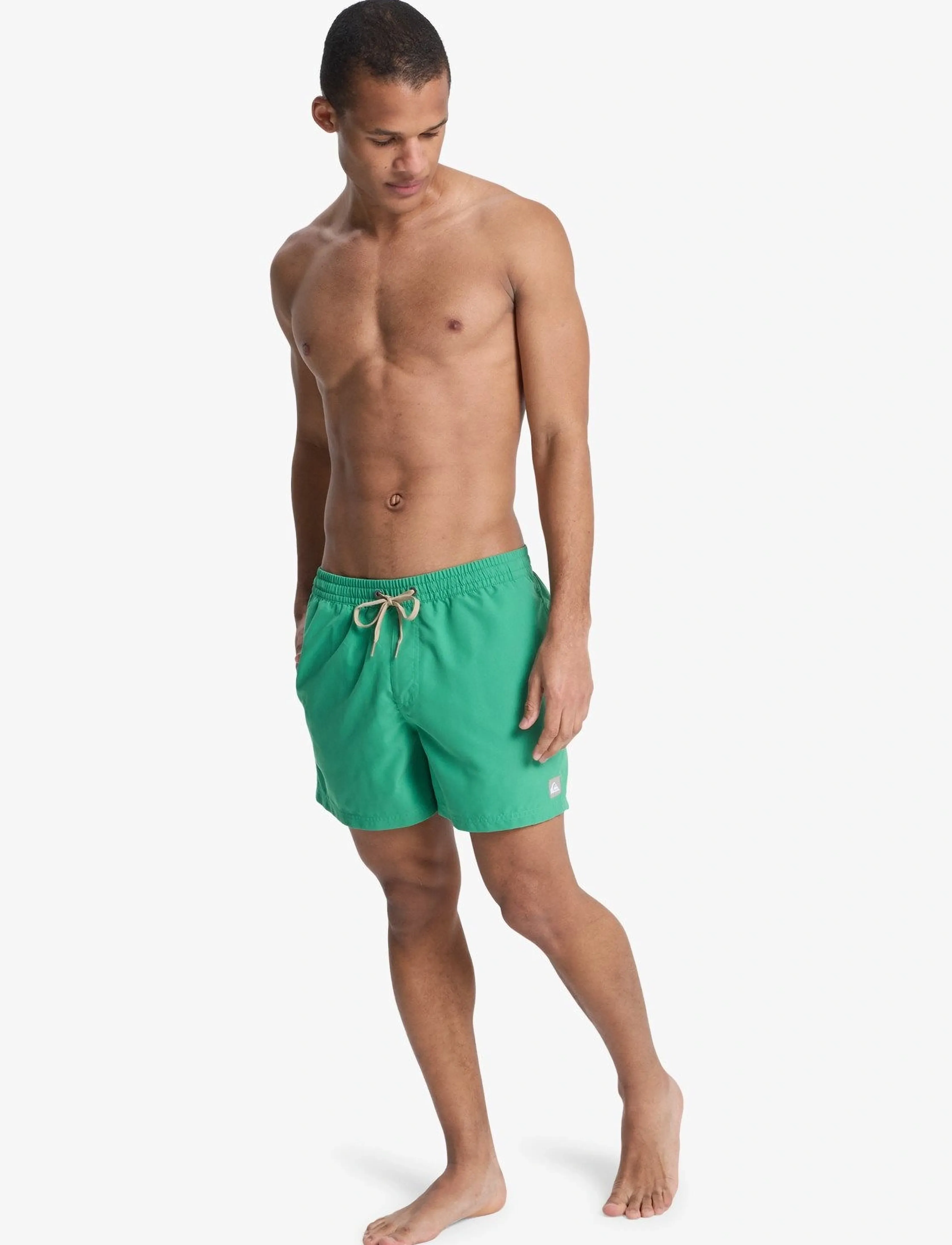 Quiksilver - EVERYDAY VOLLEY 15 - lühikesed ujumispüksid - leprechaun - 3