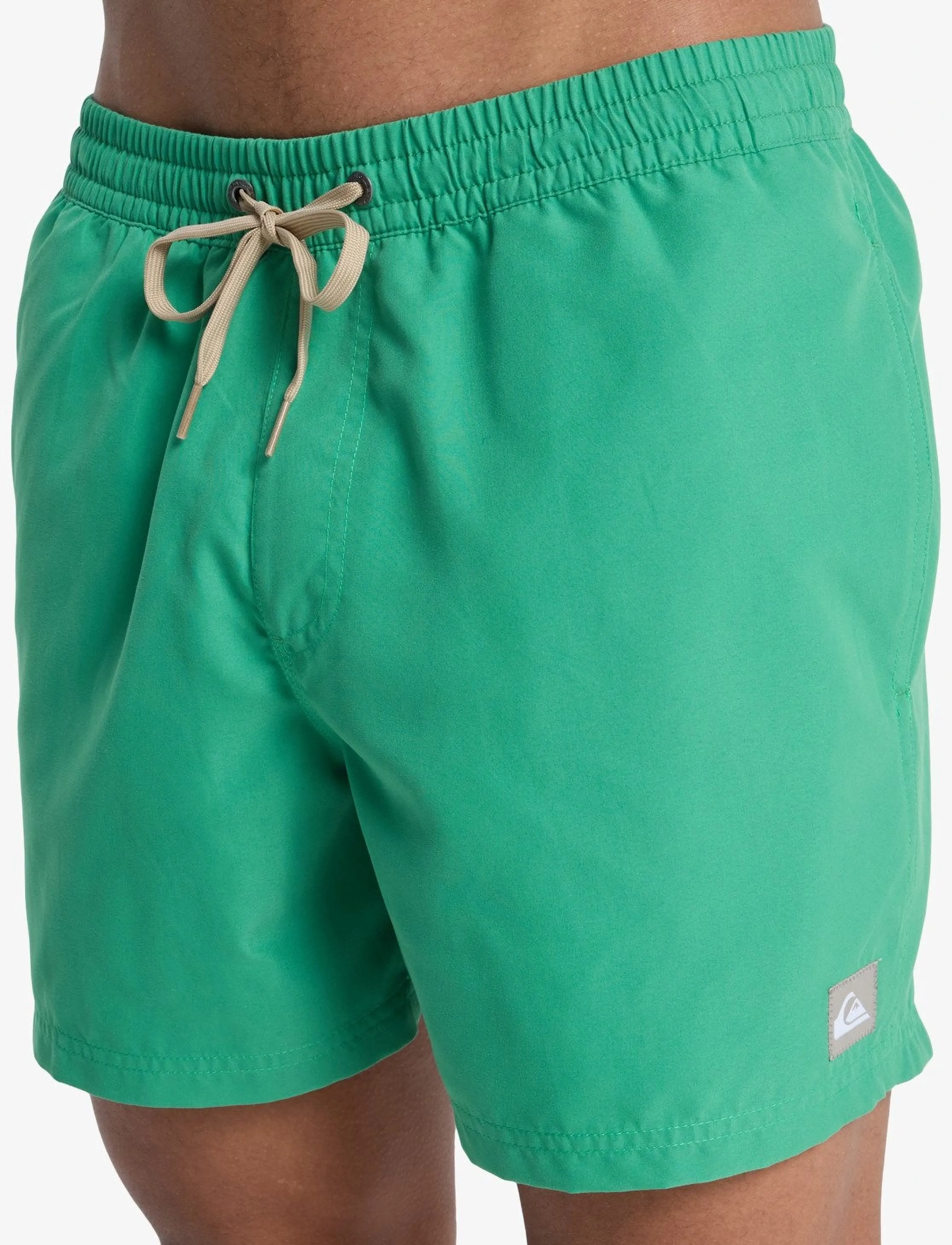 Quiksilver - EVERYDAY VOLLEY 15 - lühikesed ujumispüksid - leprechaun - 5