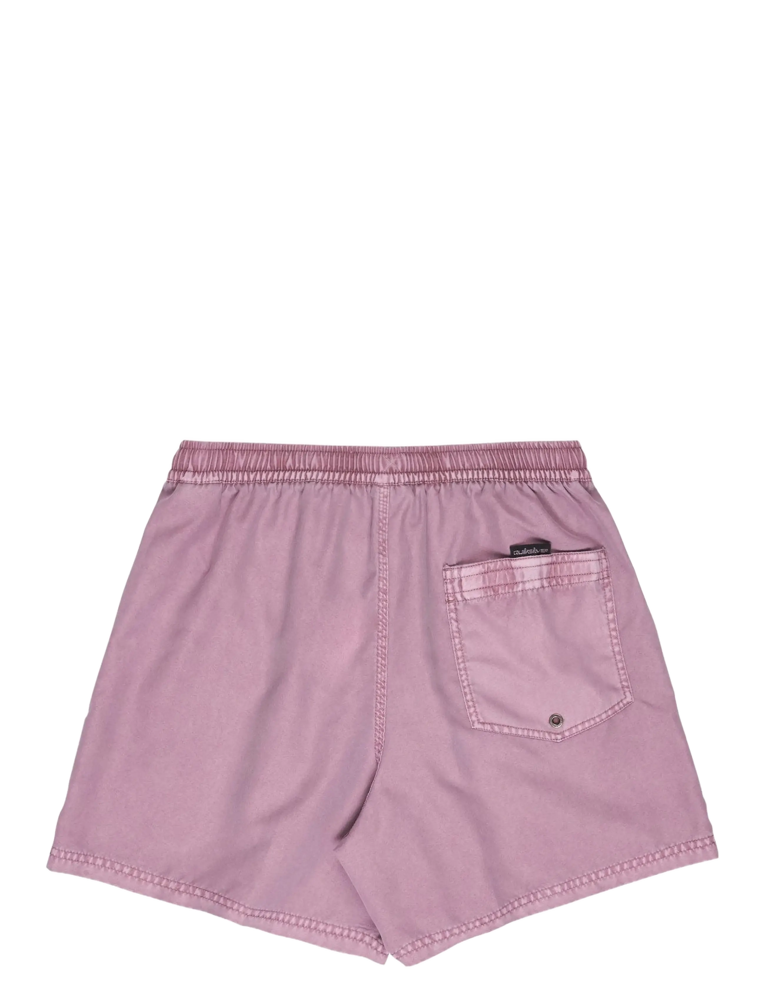 Quiksilver - EVERYDAY SURFWASH VOLLEY 15 - lühikesed ujumispüksid - grape shake - 2