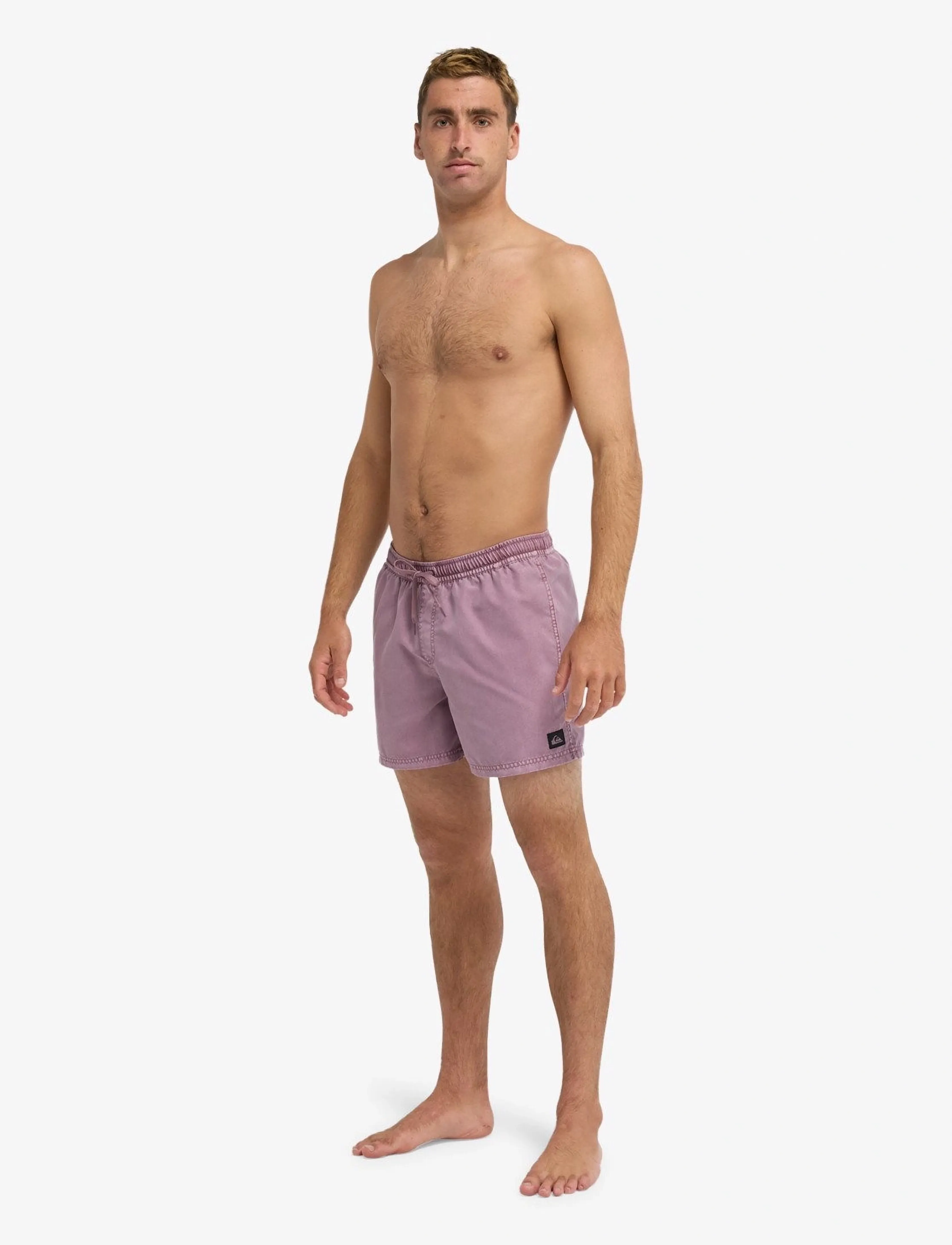 Quiksilver - EVERYDAY SURFWASH VOLLEY 15 - lühikesed ujumispüksid - grape shake - 4