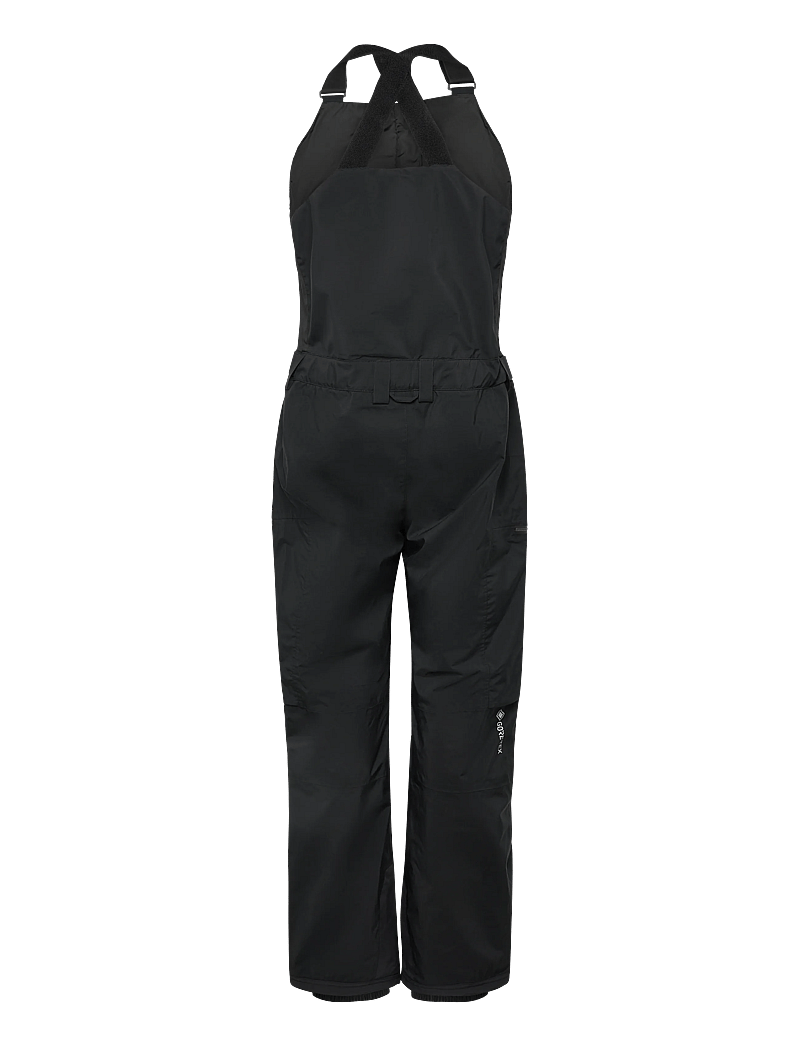 Quiksilver - ALTOSTRATUS STRET GORE-TEX BIB - skihosen - true black - 2
