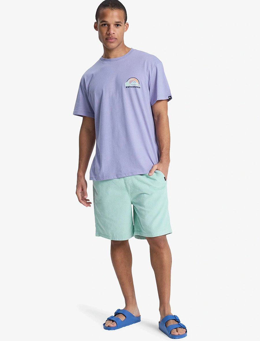 Quiksilver - TAXER CORD WS - püksid - blue haze - 4