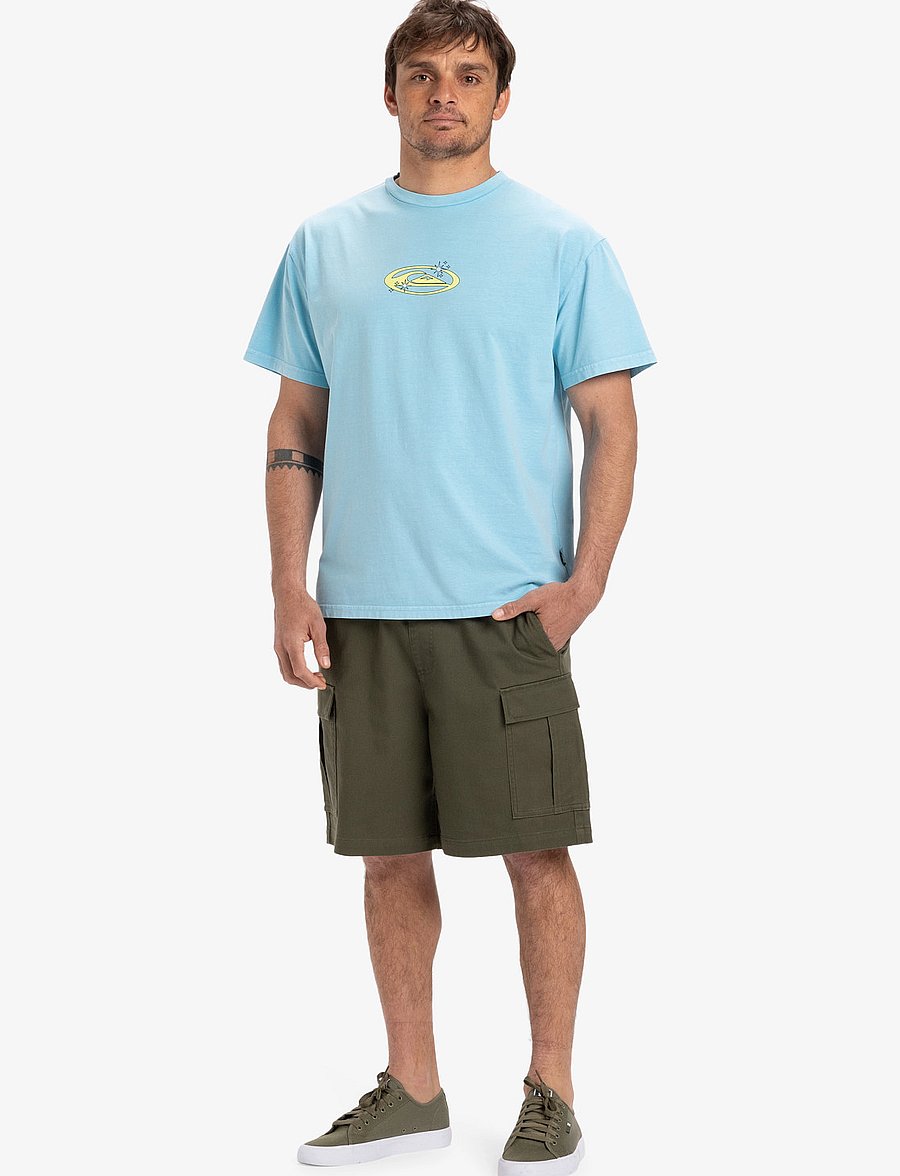 Quiksilver - TAXER CARGO WS - freizeit shorts - grape leaf - 4