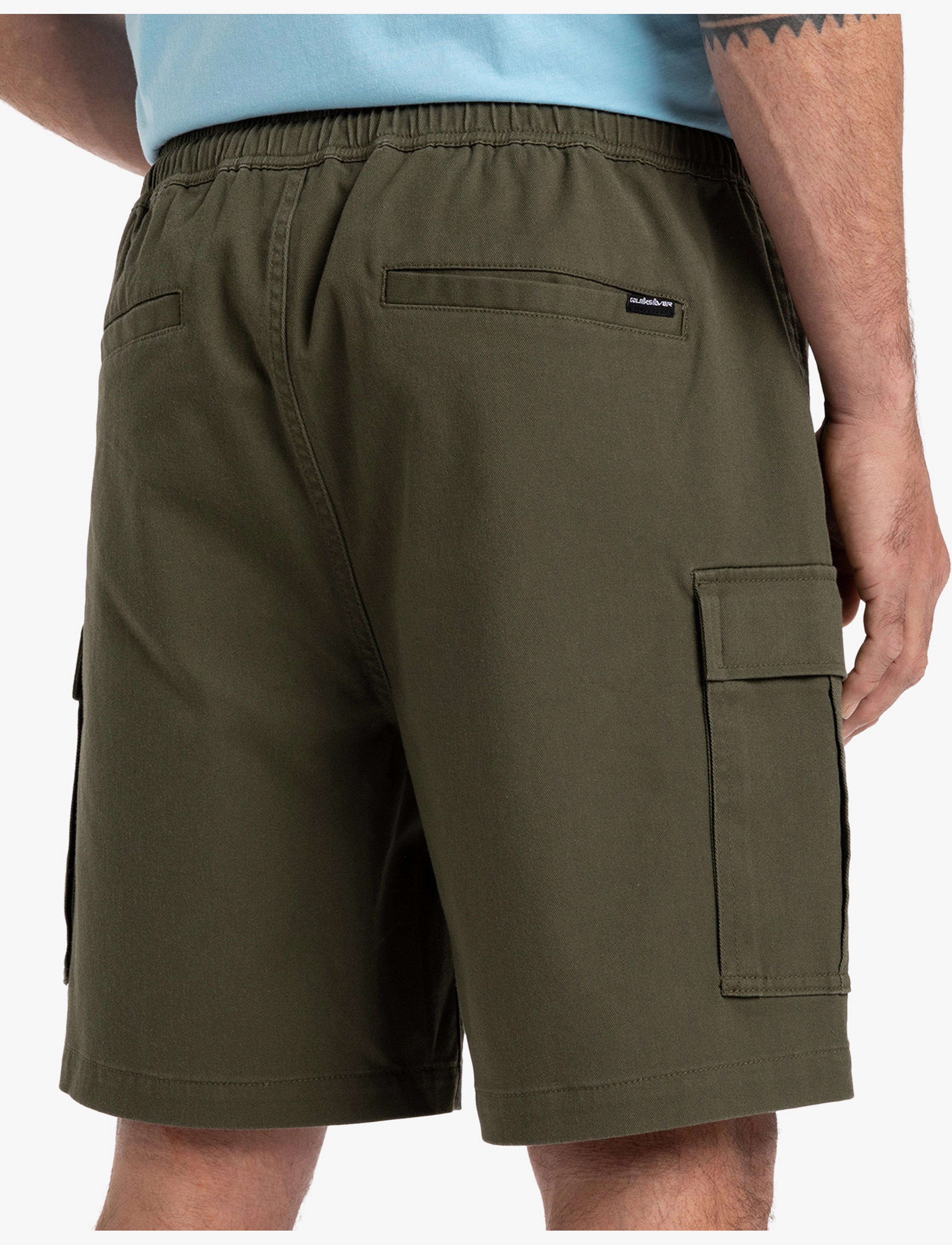 Quiksilver TAXER CARGO WS - Riided - GRAPE LEAF / brown