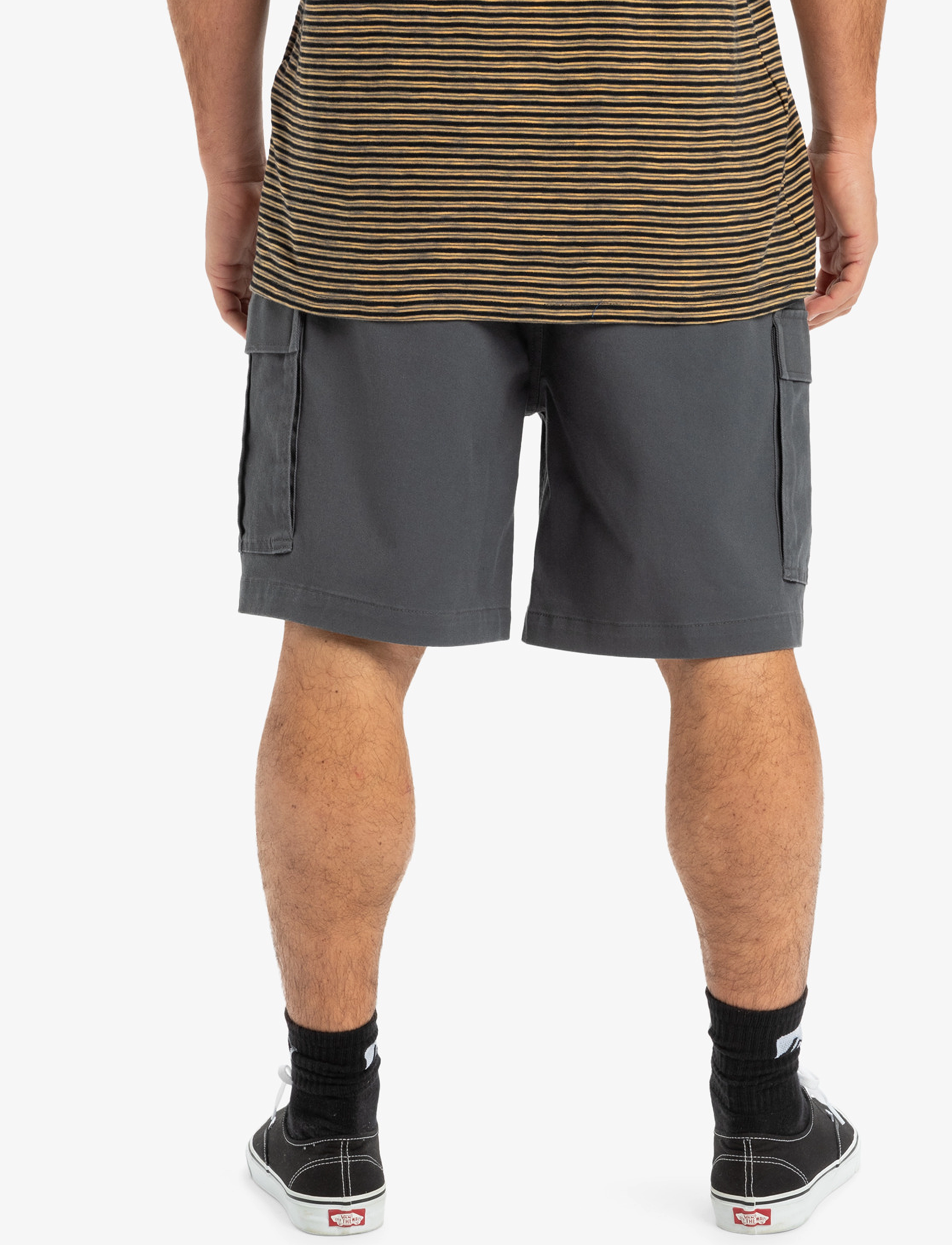 Quiksilver - TAXER CARGO WS - bottoms - iron gate - 3