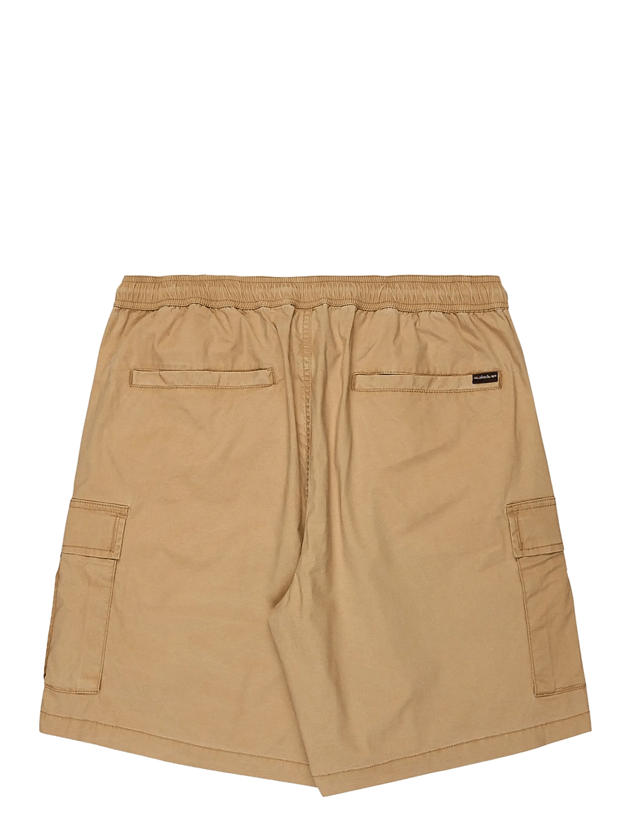 Quiksilver - TAXER CARGO WS - apakšējais apģērbs - khaki - 2