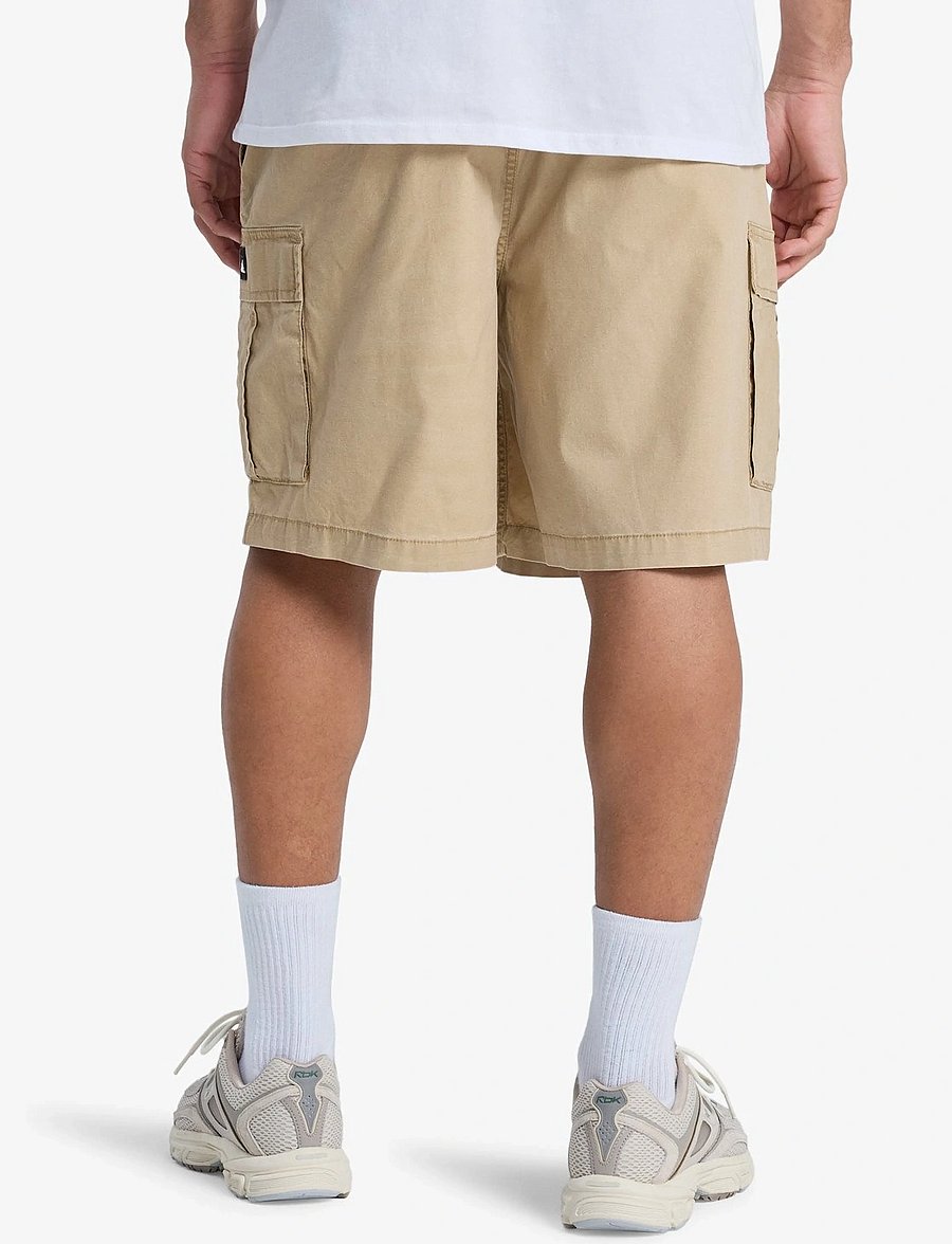 Quiksilver - TAXER CARGO WS - apakšējais apģērbs - khaki - 3