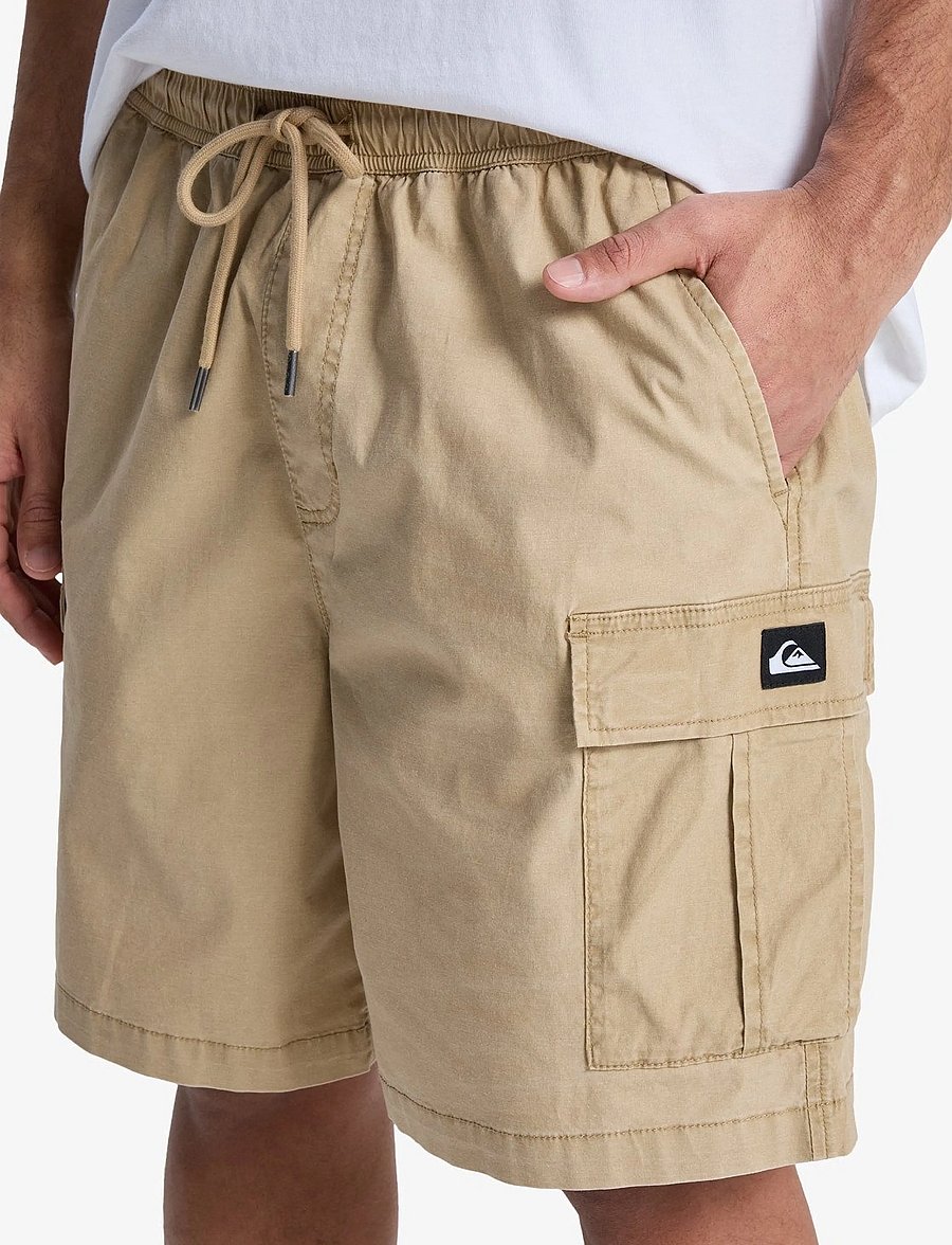 Quiksilver - TAXER CARGO WS - apakšējais apģērbs - khaki - 5