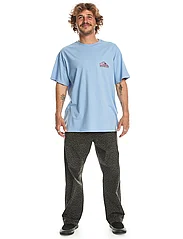 Quiksilver - TAKE US BACK LOGO SS - short-sleeved t-shirts - hydrangea - 4