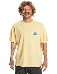 Quiksilver - TAKE US BACK LOGO SS - short-sleeved t-shirts - mellow yellow - 2