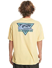 Quiksilver - TAKE US BACK LOGO SS - short-sleeved t-shirts - mellow yellow - 3