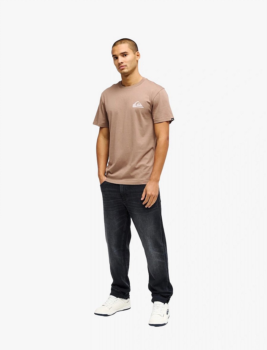 Quiksilver - EV MINI LOGO SS - pine bark - 4