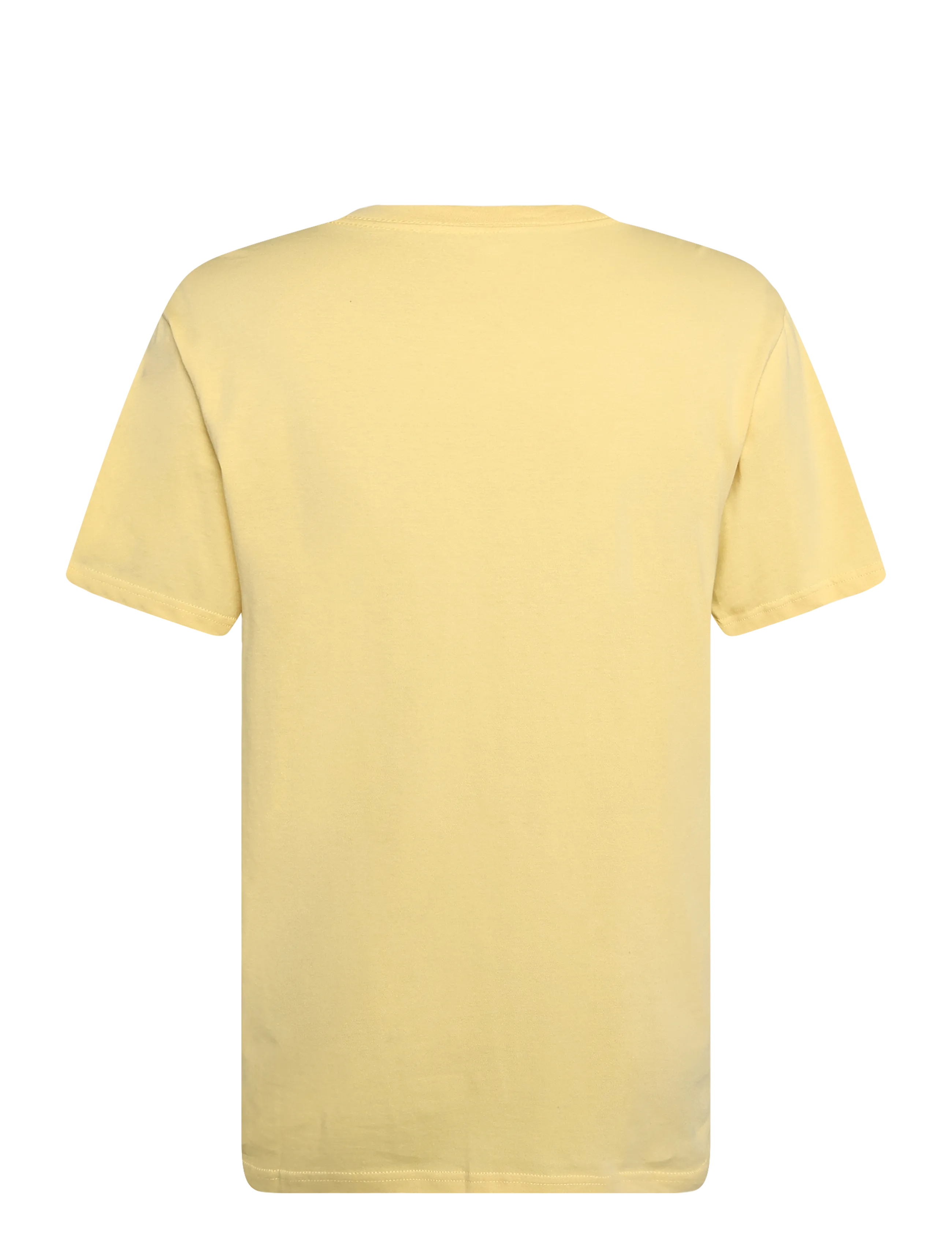 Quiksilver - EV COMP LOGO SS - oberteile & t-shirts - straw - 1