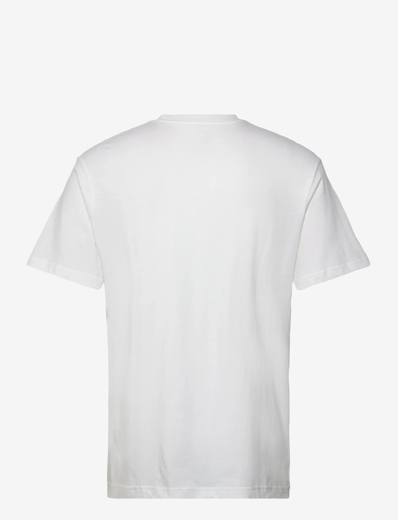 Quiksilver - EV COMP LOGO SS - madalaimad hinnad - white - 1