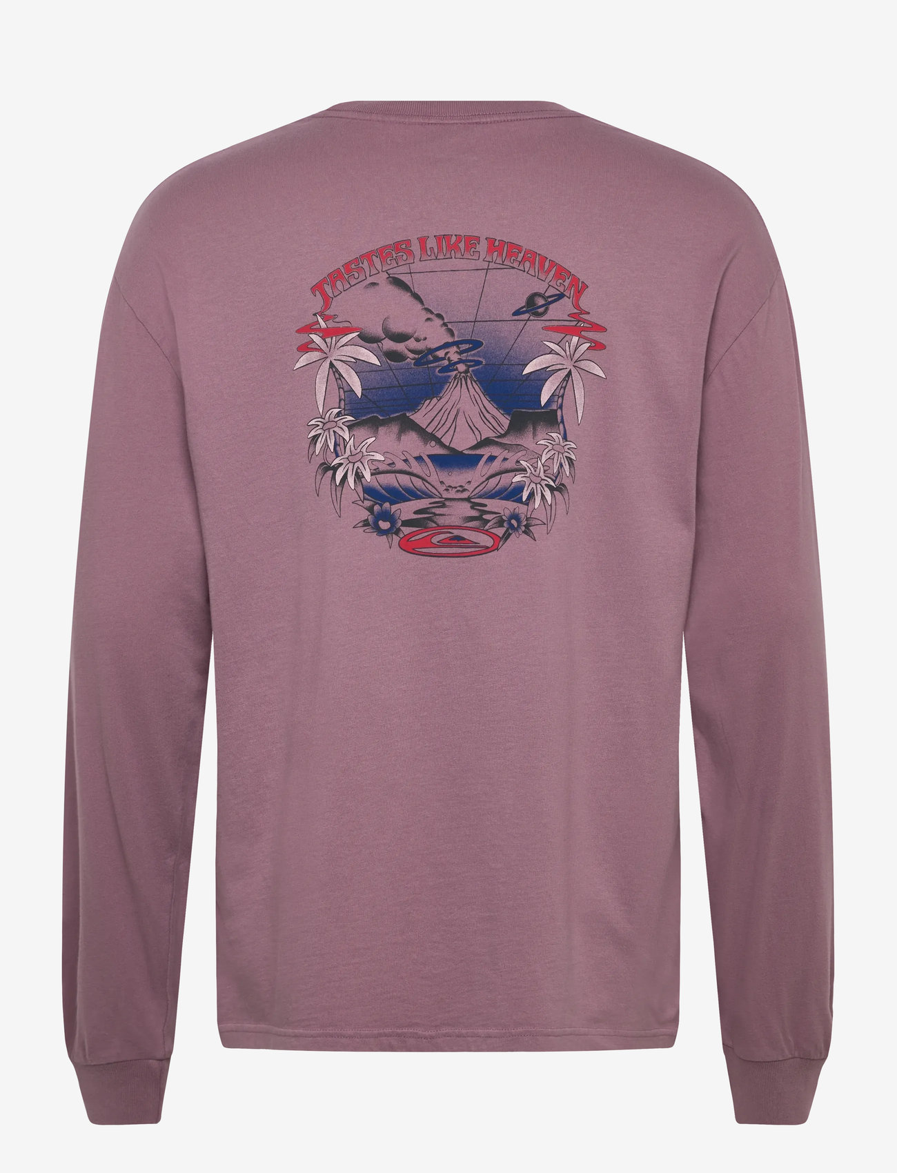 Quiksilver - HW HOLLOW COVES LS - die niedrigsten preise - elderberry - 1