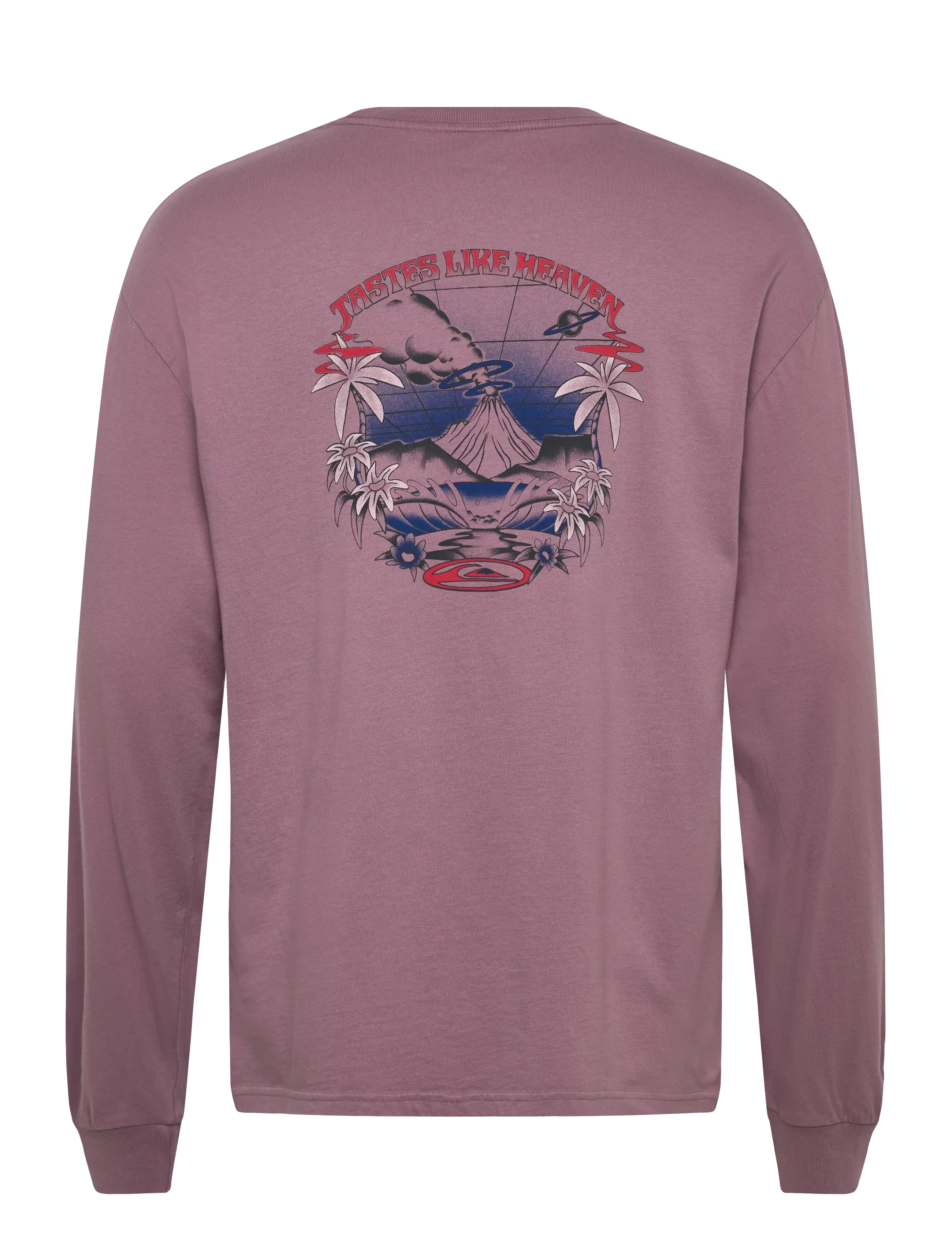 Quiksilver - HW HOLLOW COVES LS - sweaters - elderberry - 2