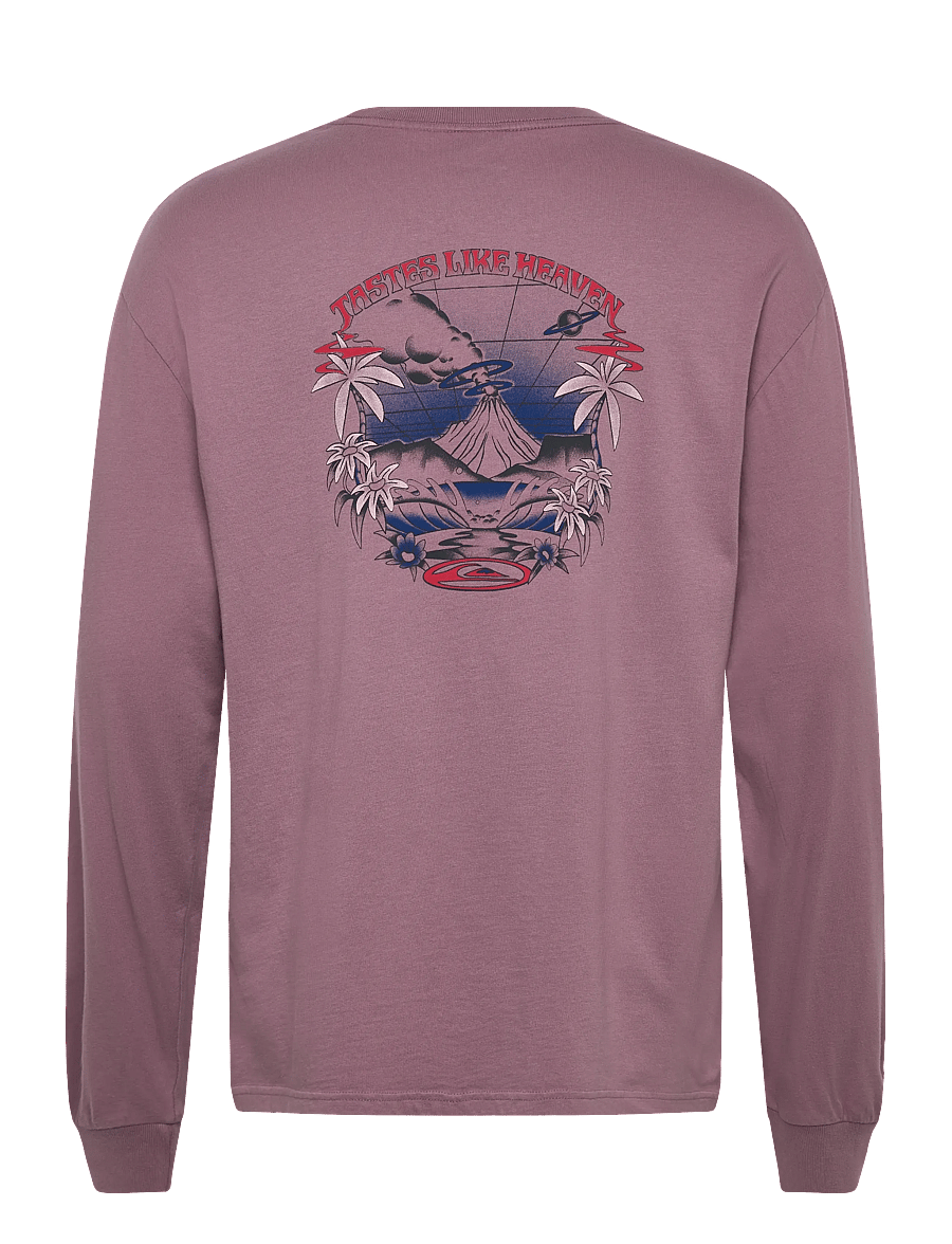 Quiksilver - HW HOLLOW COVES LS - tops - elderberry - 2