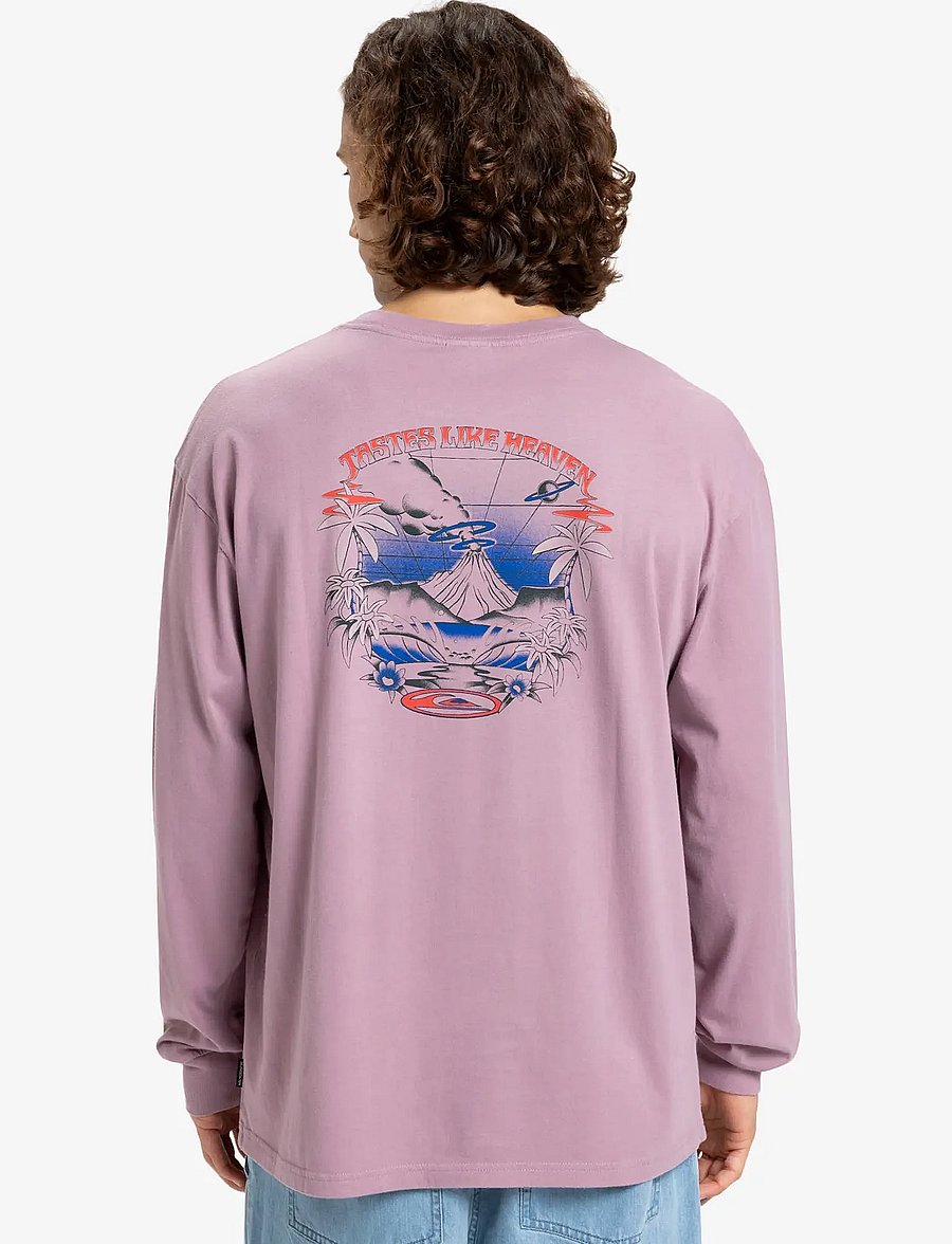 Quiksilver - HW HOLLOW COVES LS - tops - elderberry - 3