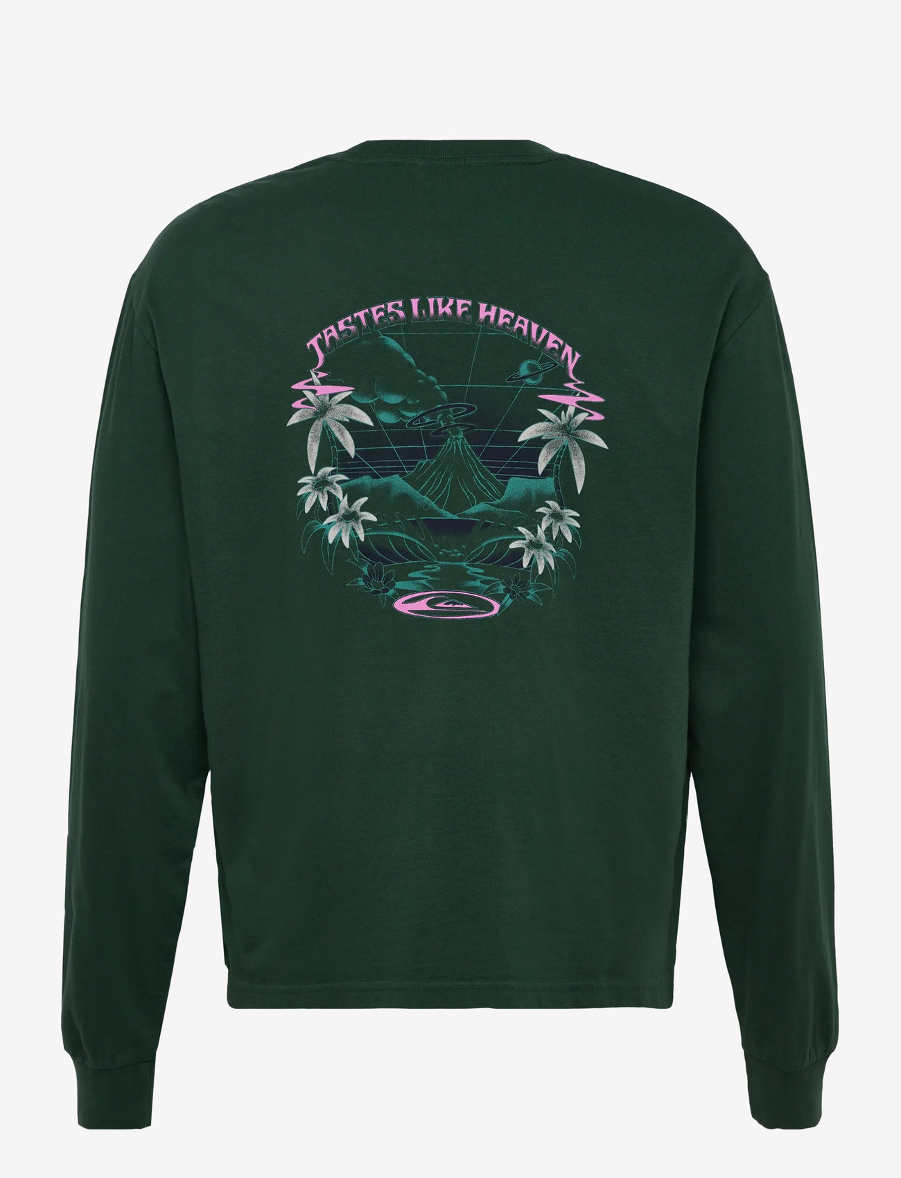 Quiksilver - HW HOLLOW COVES LS - toppe & t-shirts - trekking green - 2