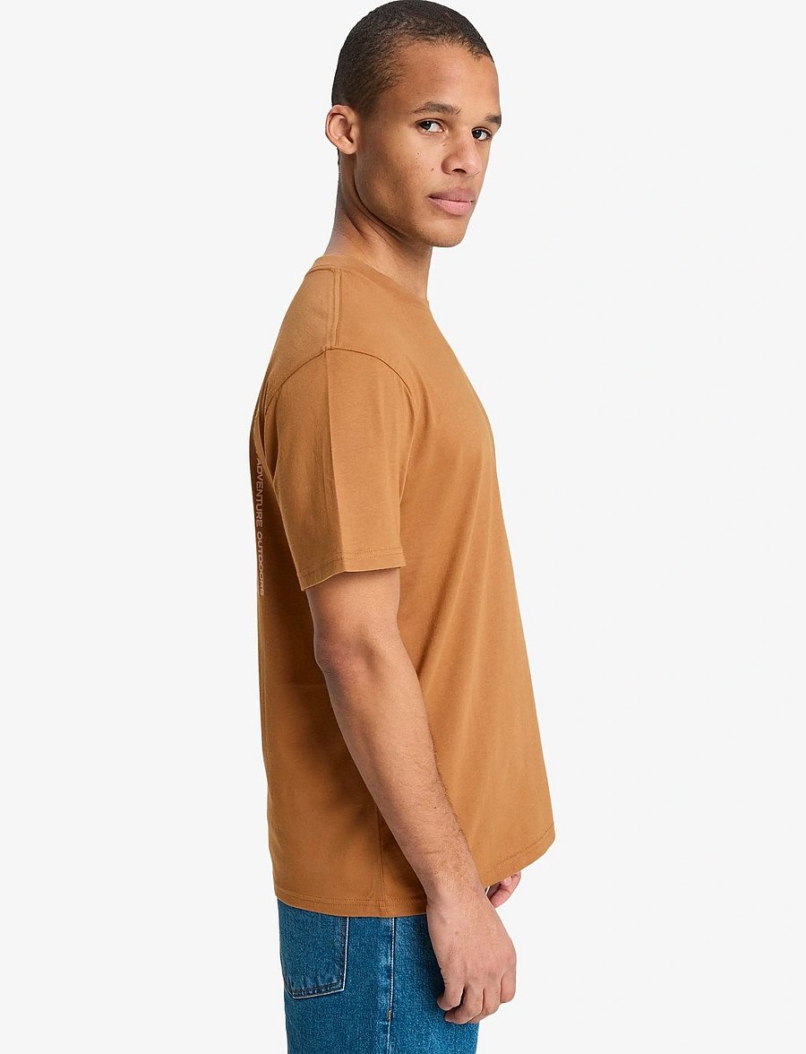 Quiksilver - EVO BLOSSOM OF PEACE - t-shirts - tobacco brown - 5
