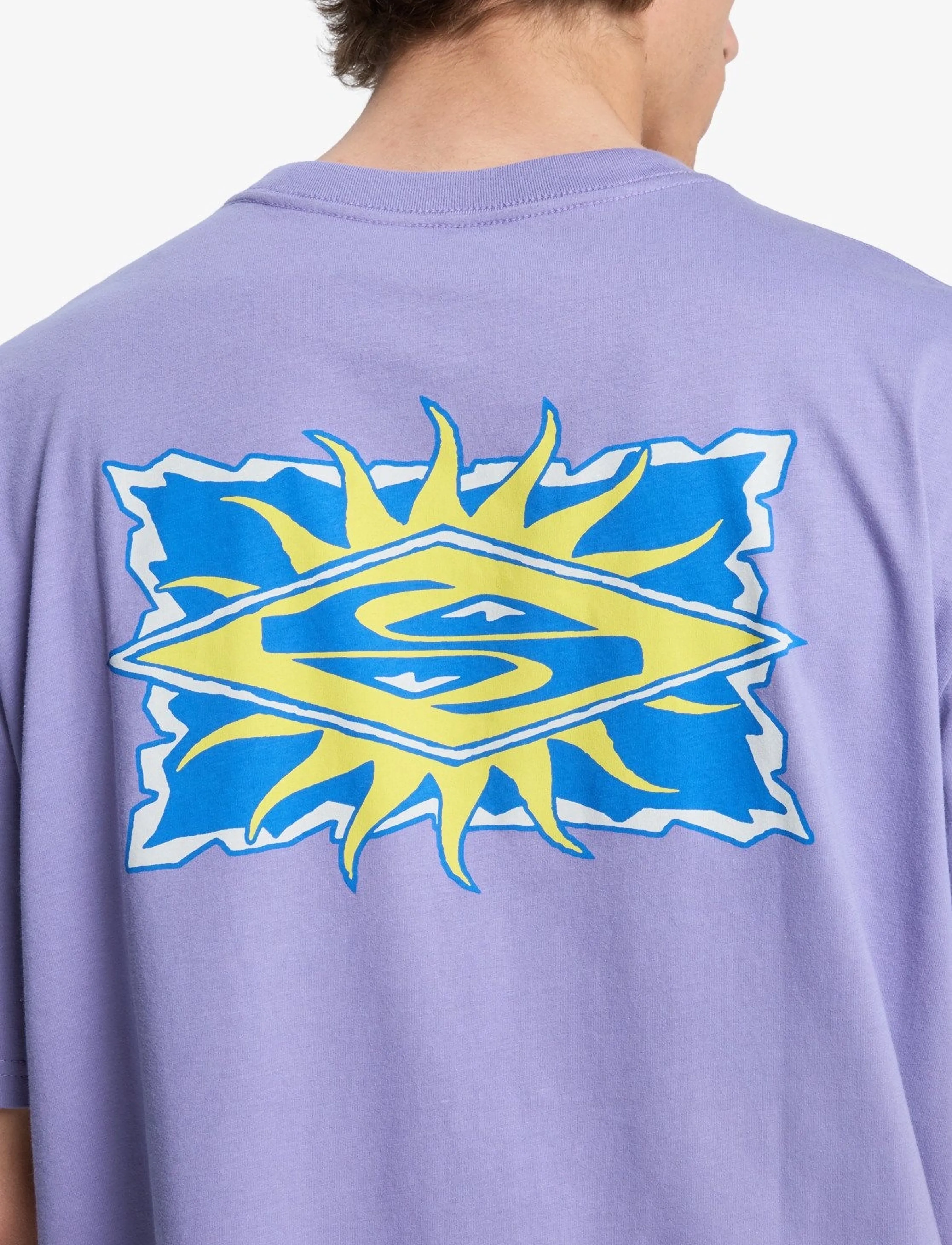 QUIKSILVER Ev Starfish Stamp Ss t-shirts med tryck herr – bild 5