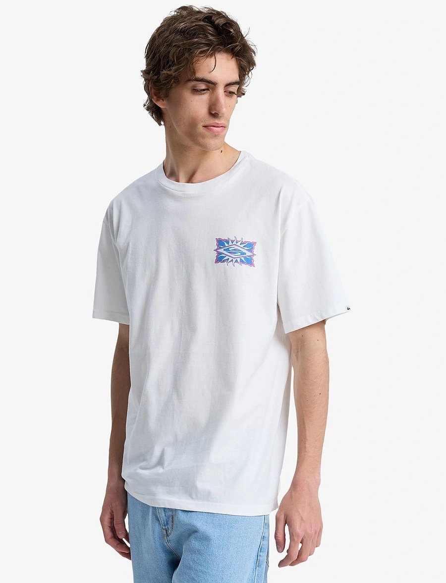 Quiksilver - EV STARFISH STAMP SS - t-shirts - snow white - 5