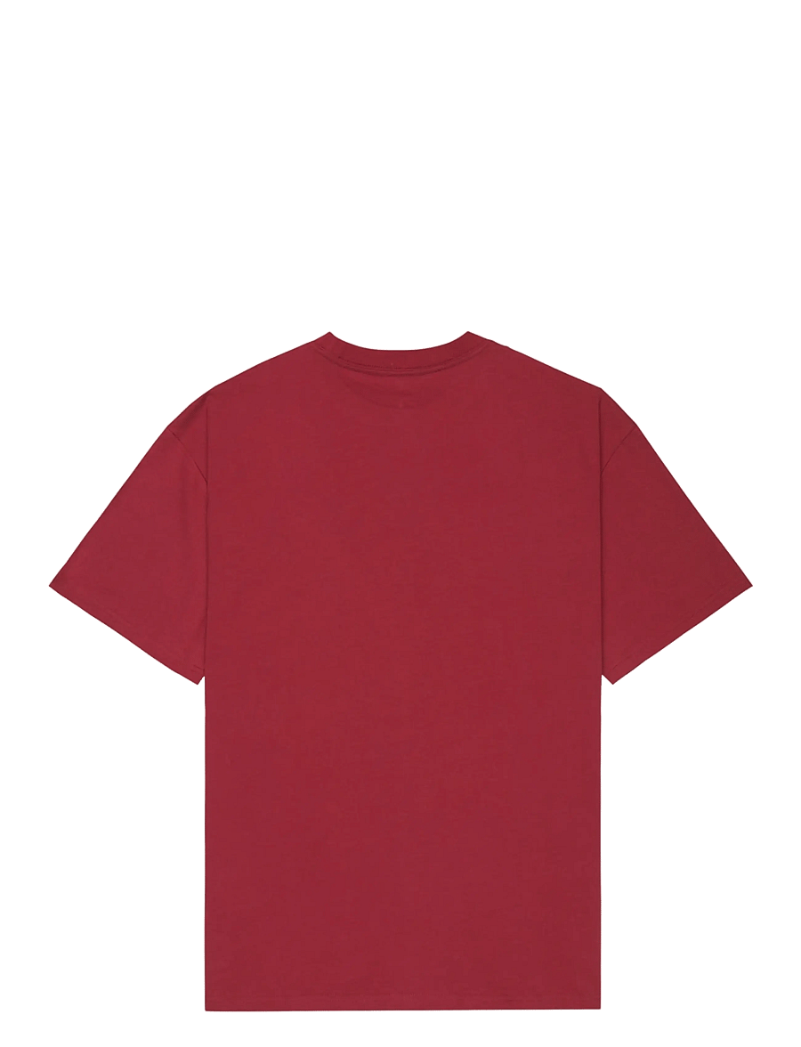 Quiksilver - LEGACY SS - t-shirts - burnt russet - 2