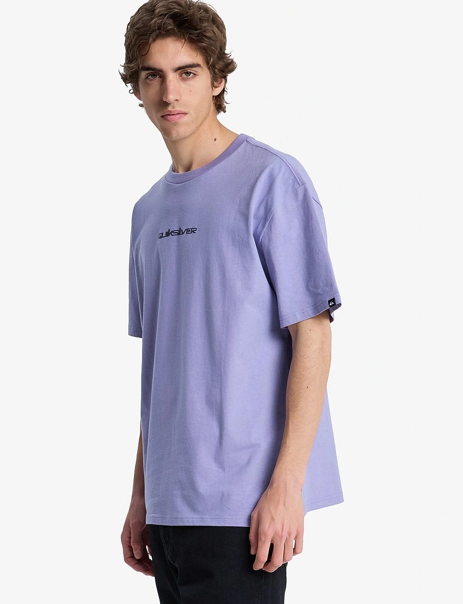 Quiksilver - FRACTURED WAVE SS - t-shirts - daybreak - 5