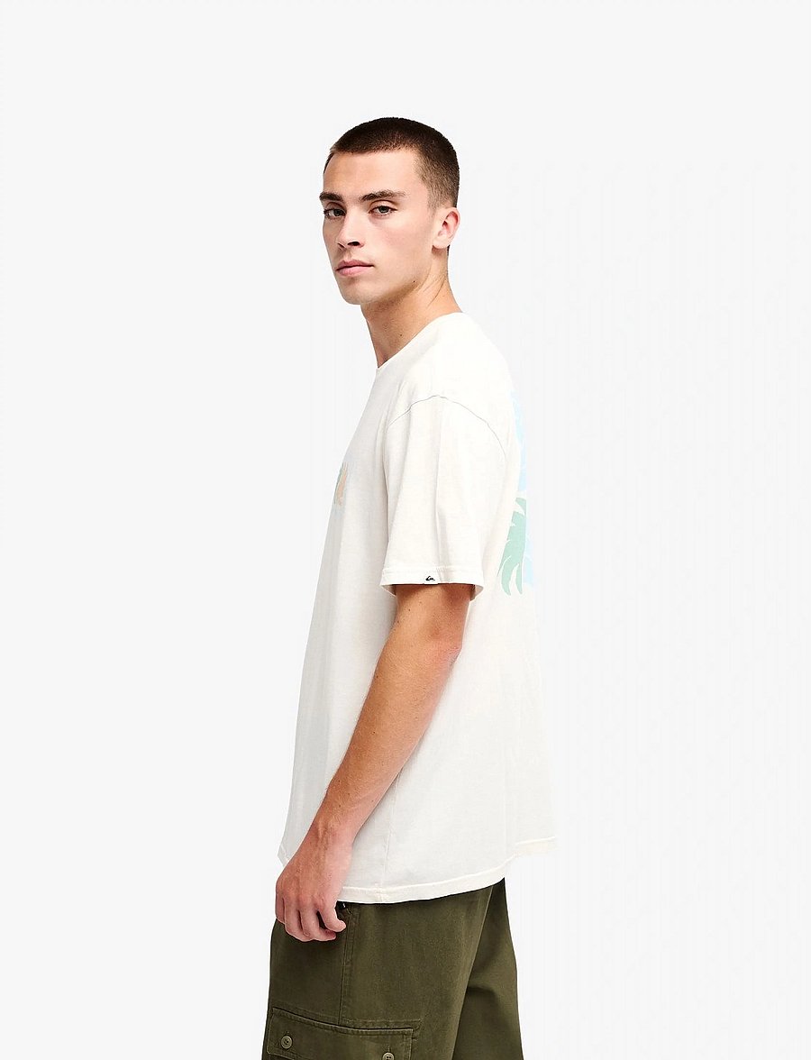 Quiksilver - EVO VIBES SS - oberteile & t-shirts - snow white - 5