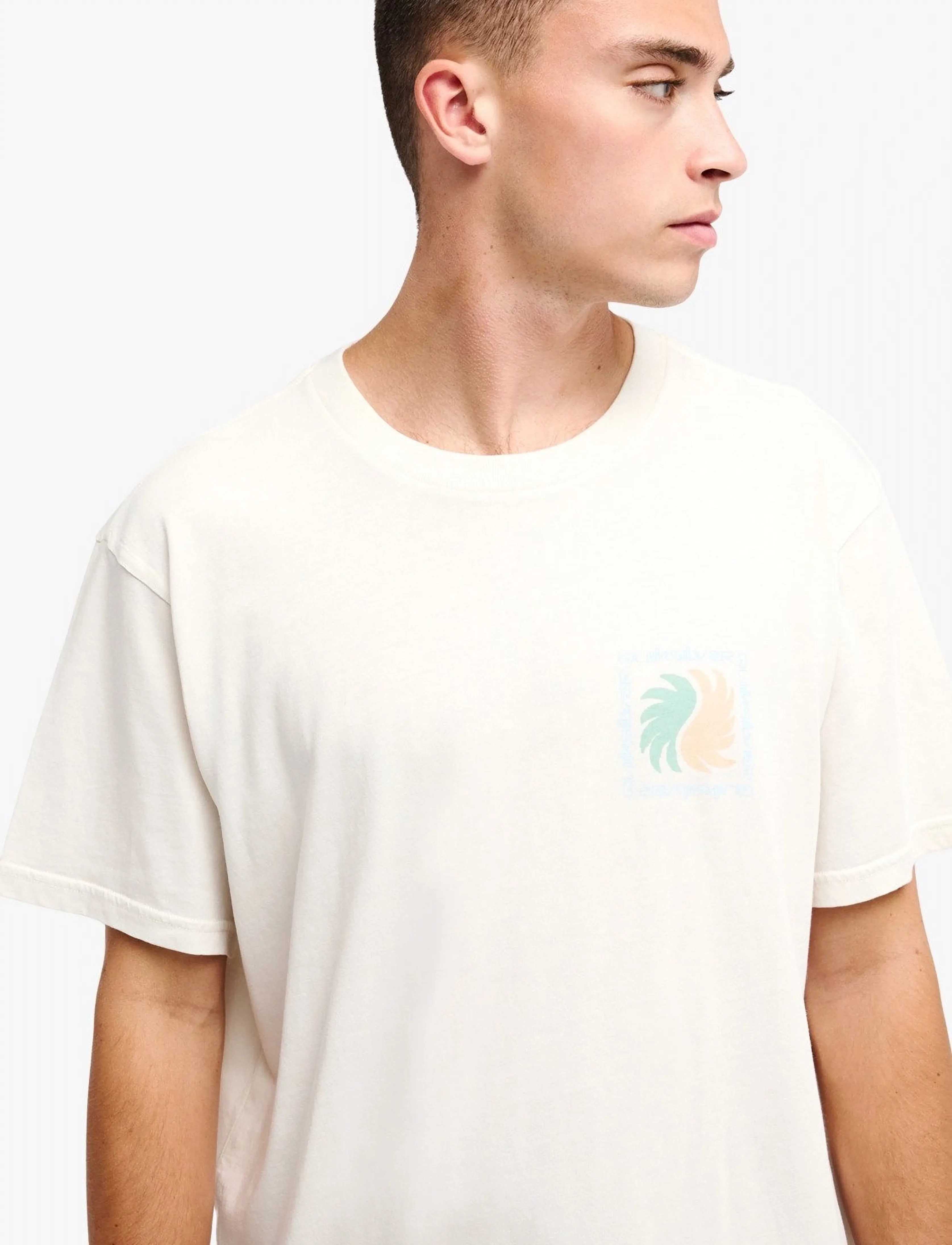 QUIKSILVER Evo Vibes Ss t-shirts med tryck herr – bild 5