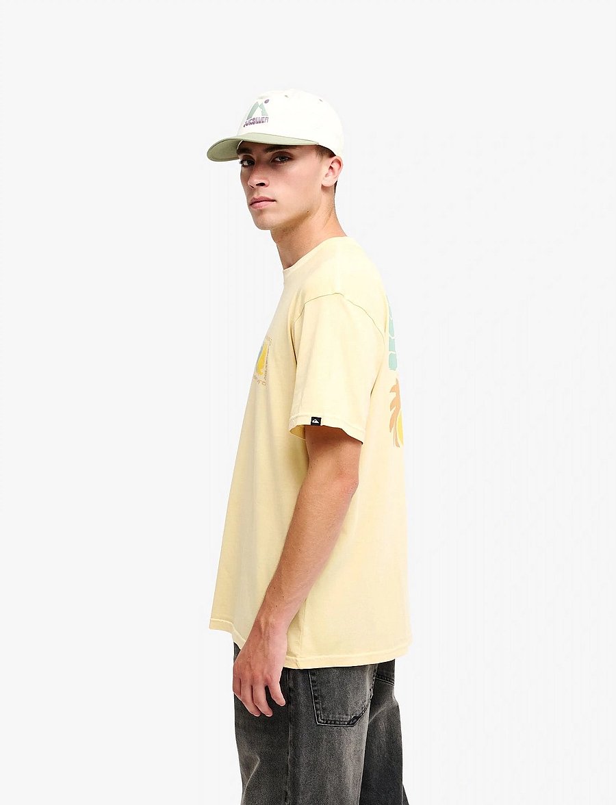Quiksilver - EVO VIBES SS - oberteile & t-shirts - straw - 4