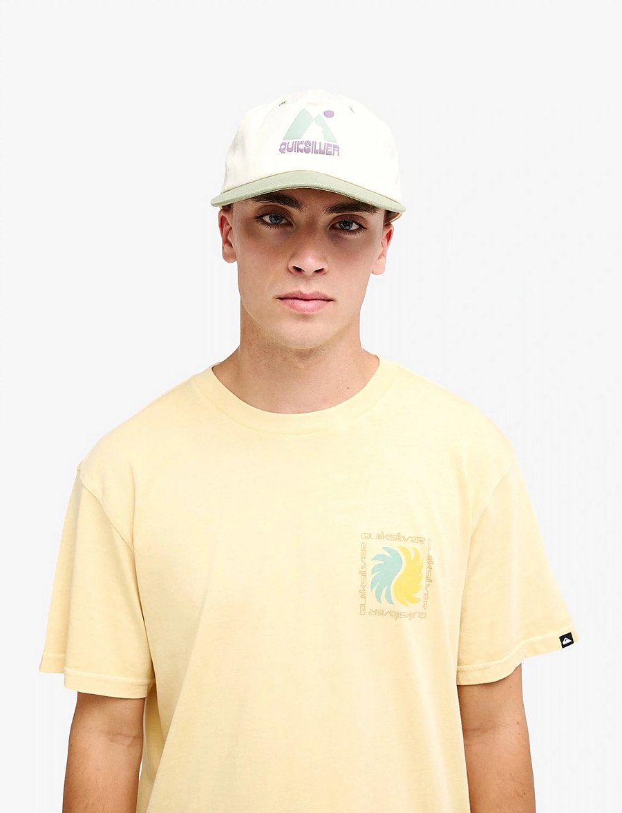 Quiksilver - EVO VIBES SS - oberteile & t-shirts - straw - 5