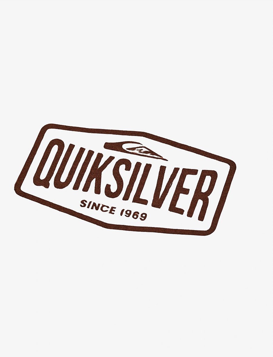 Quiksilver - EV SURF GARAGE SS - oberteile & t-shirts - rawhide - 3