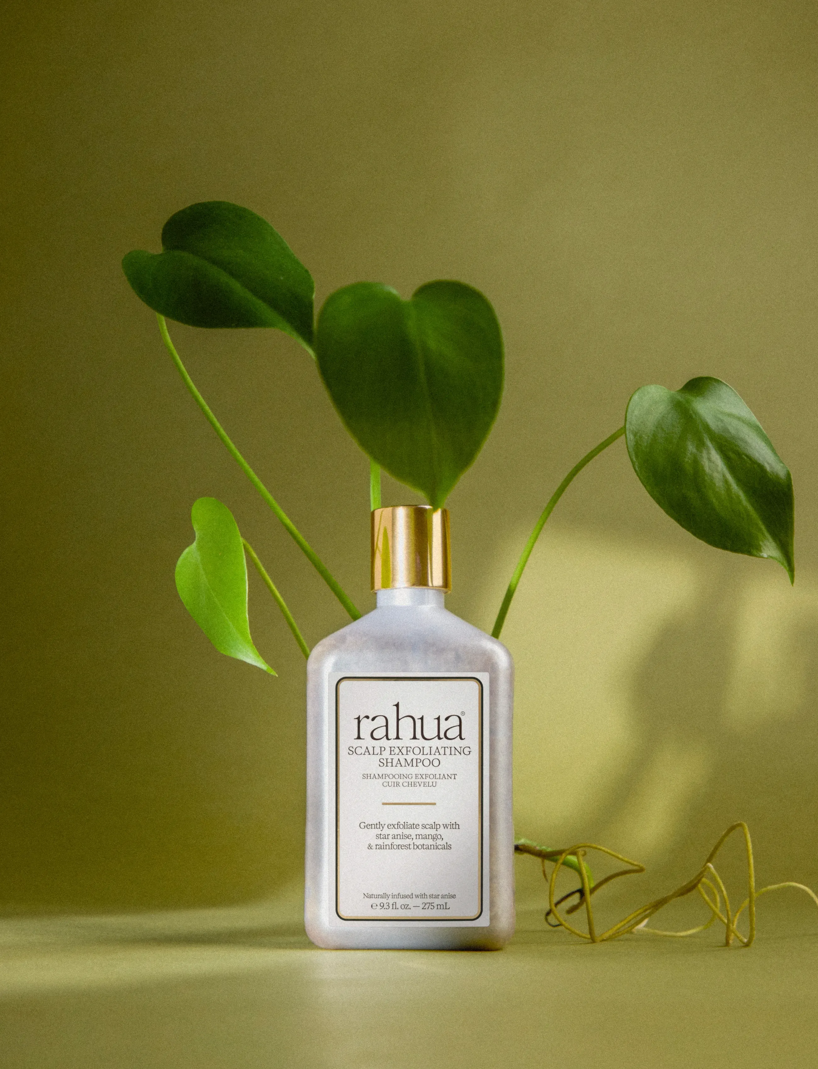 Rahua Scalp Exfoliating Shampoo, 275 ml, Nude, Pleje > Shampoo, Dame