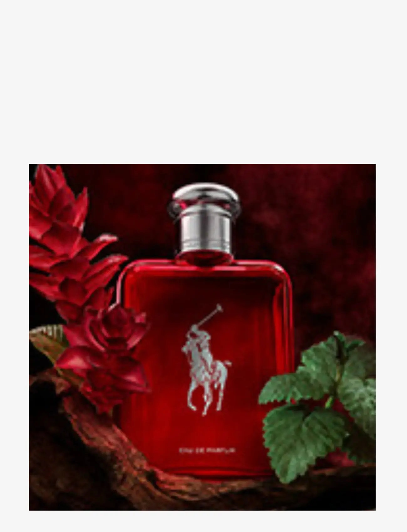 Ralph Lauren - Fragrance - Ralph Lauren Polo Red Eau De Parfum 75ml - til ham  - clear - 2