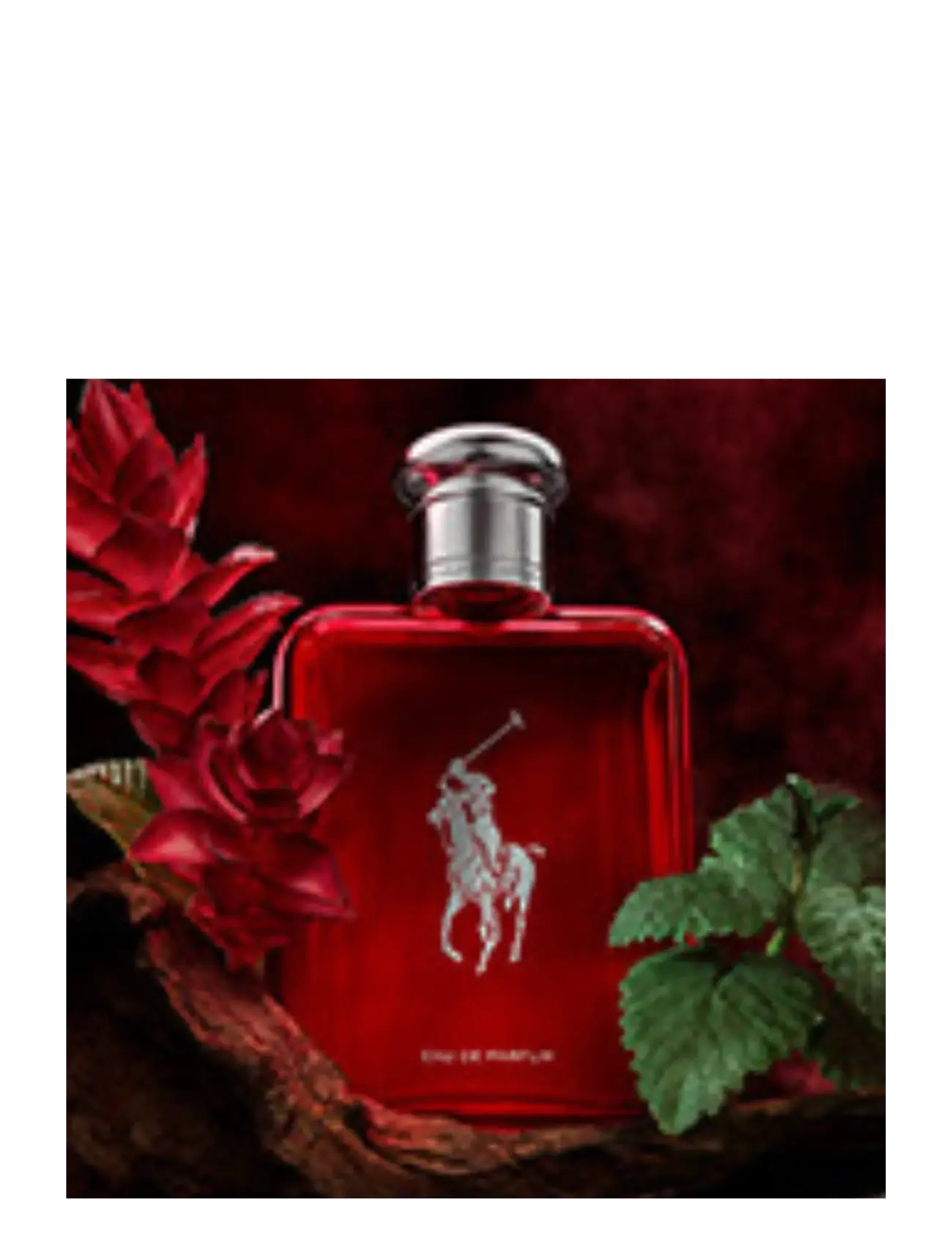 Ralph Lauren - Fragrance - Ralph Lauren Polo Red Eau De Parfum 75ml - til ham  - clear - 2