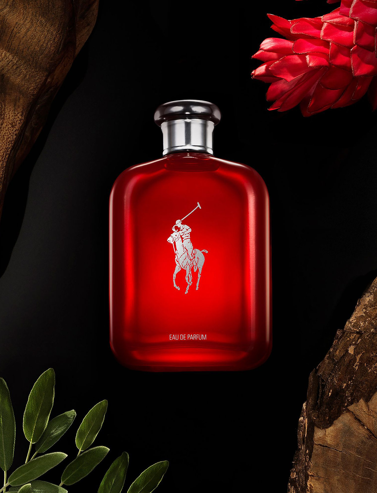 Ralph Lauren - Fragrance - Ralph Lauren Polo Red Eau De Parfum 75ml - till honom  - clear - 2