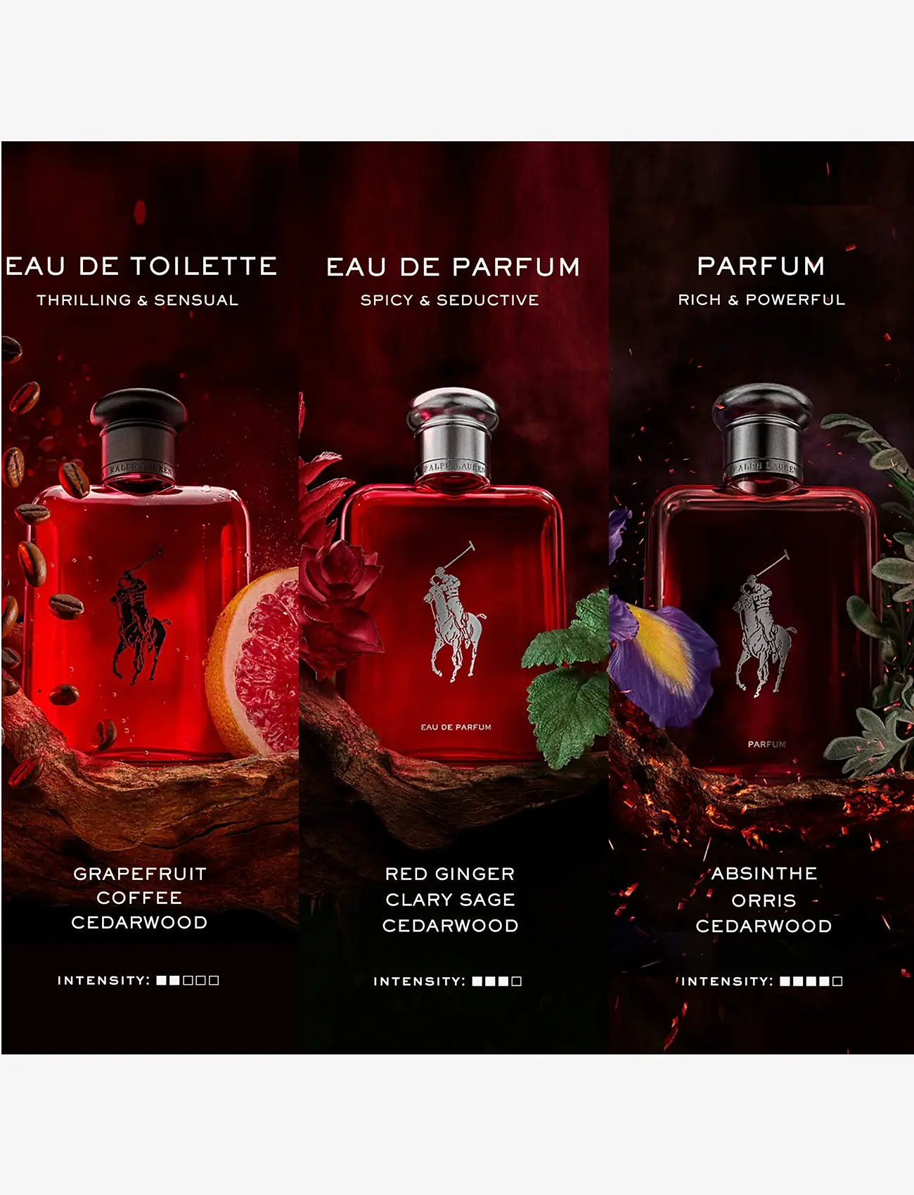Ralph Lauren - Fragrance - Ralph Lauren Polo Red Eau De Parfum 75ml - till honom  - clear - 3